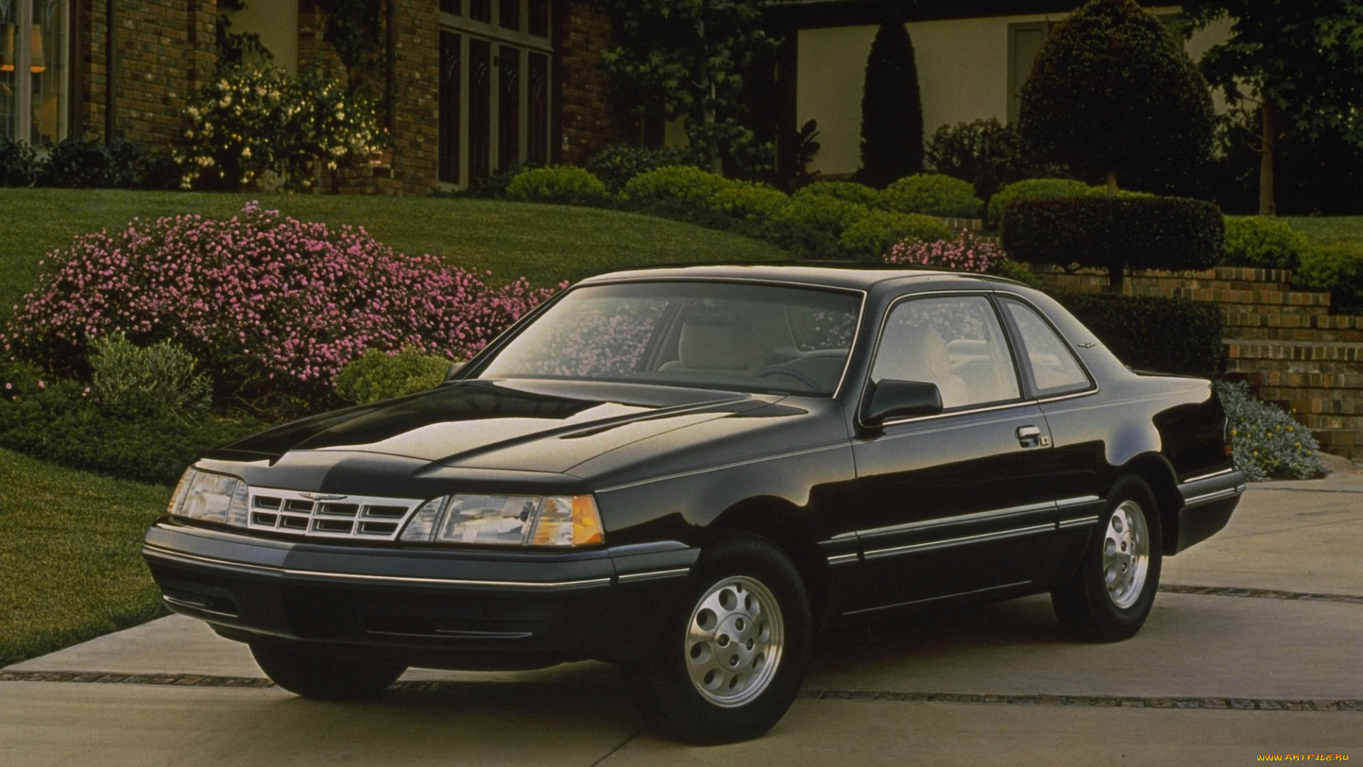 ford, thunderbird, автомобили