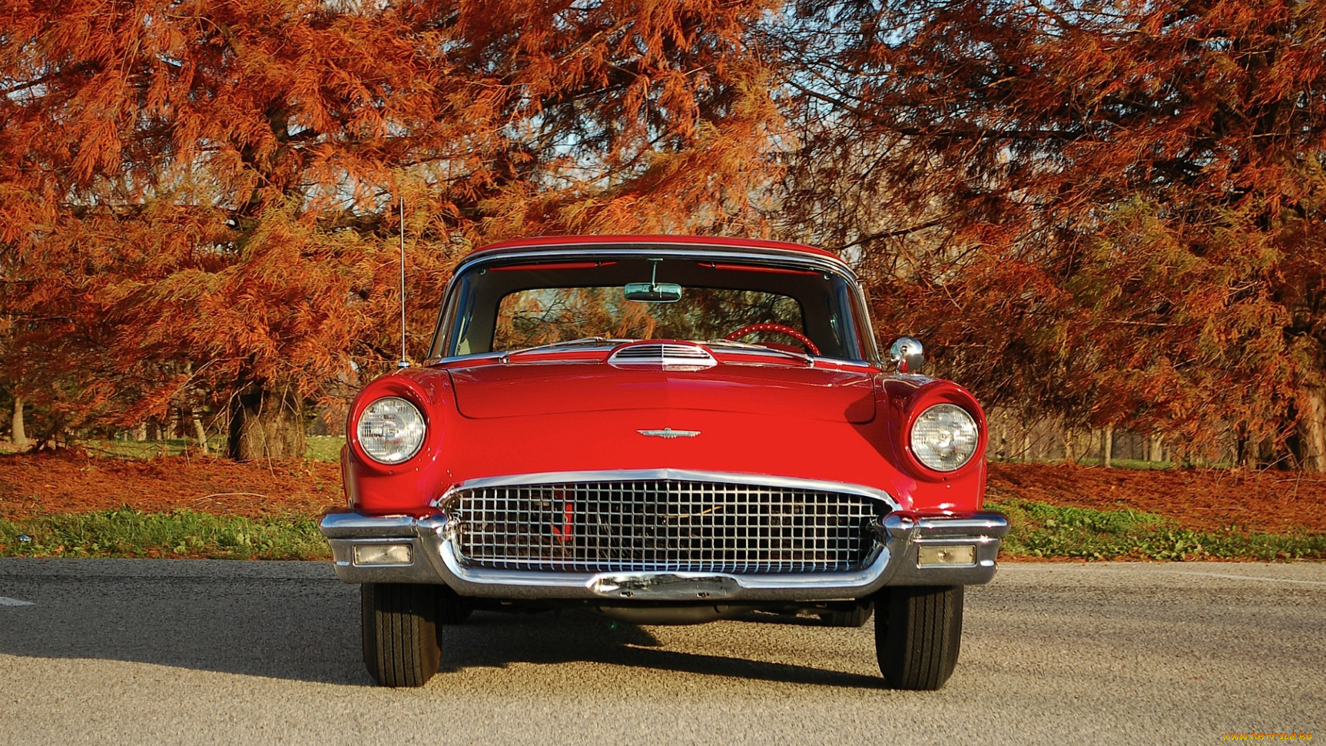 ford, thunderbird, автомобили