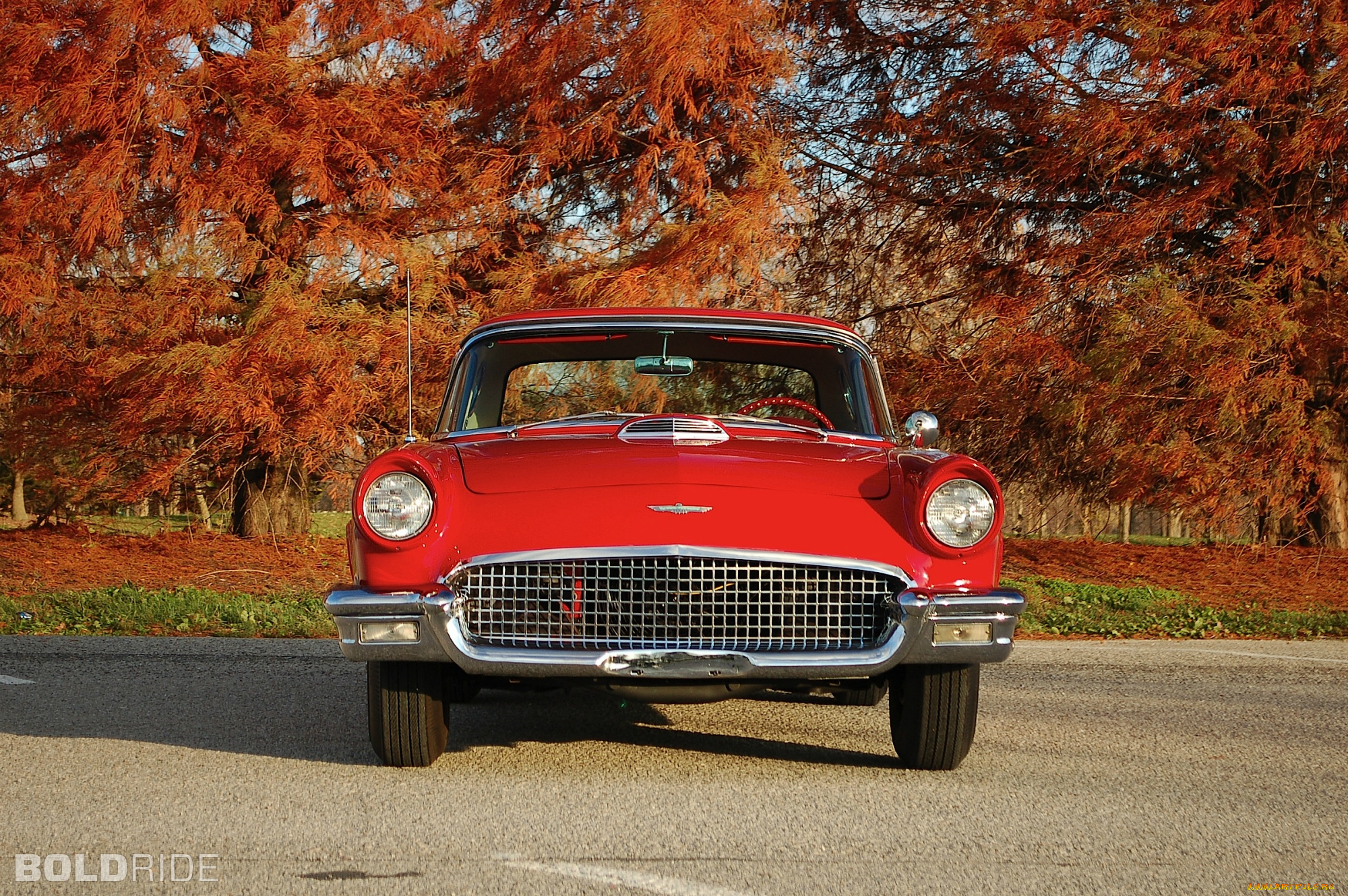 ford, thunderbird, автомобили