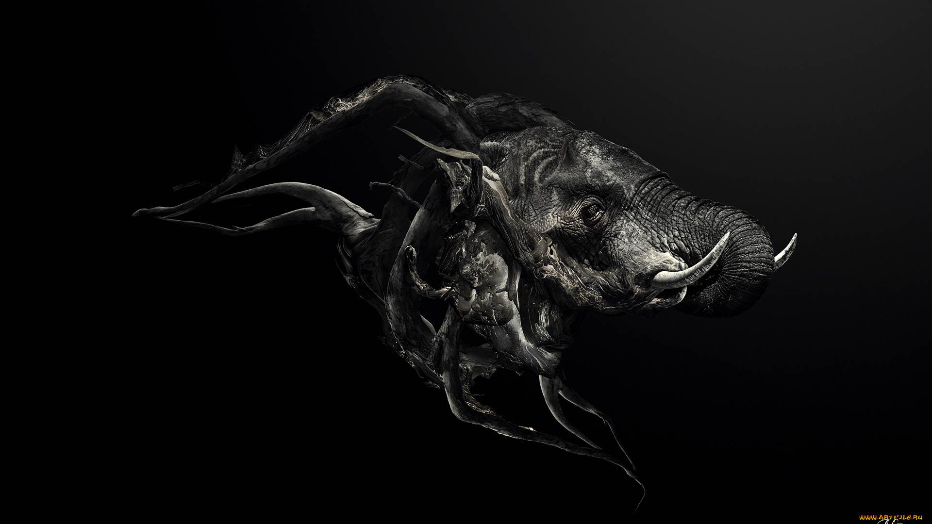 3д, графика, animals, , животные, фон, слон