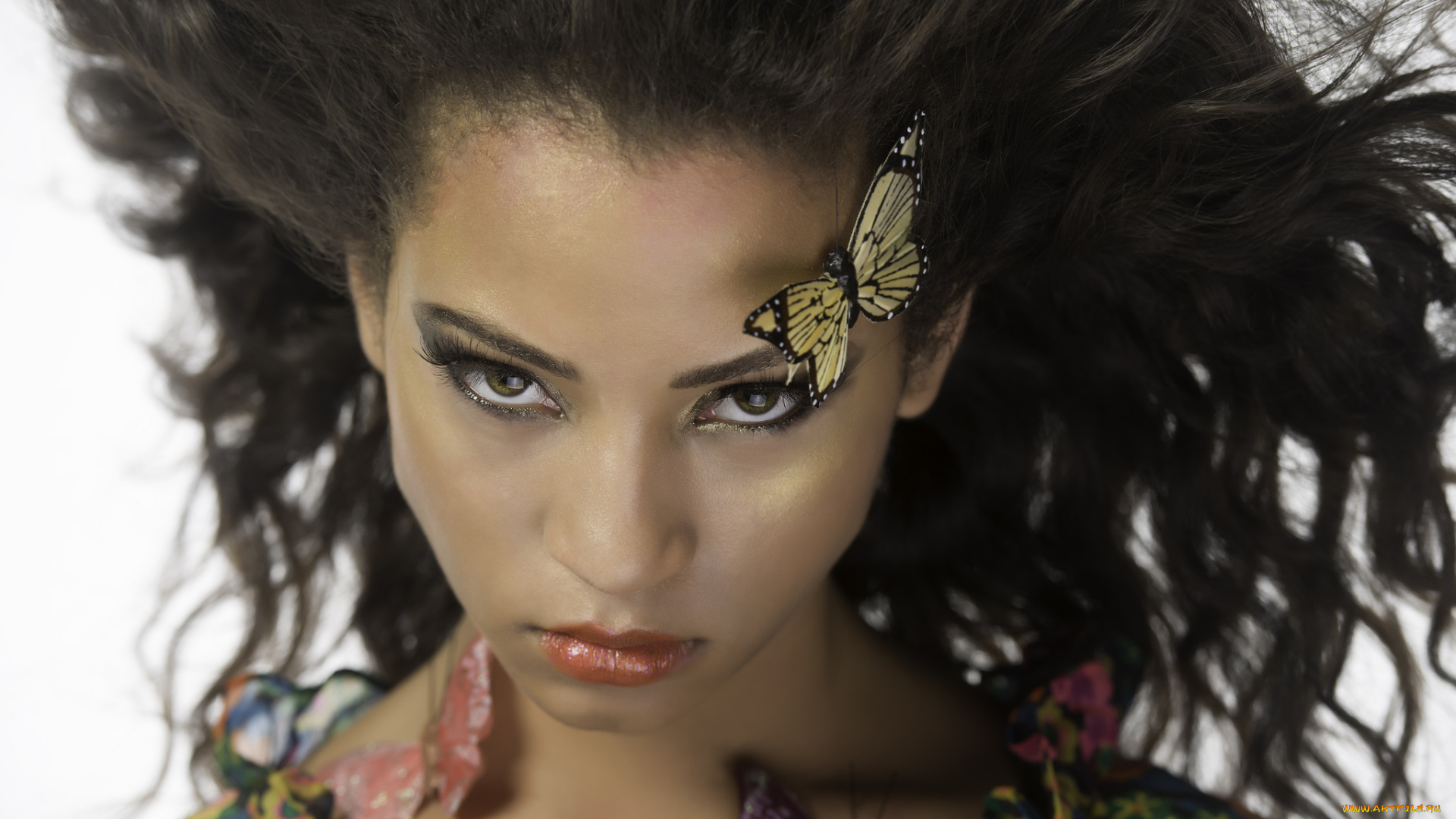 девушки, dana, deggs, взгляд, лицо