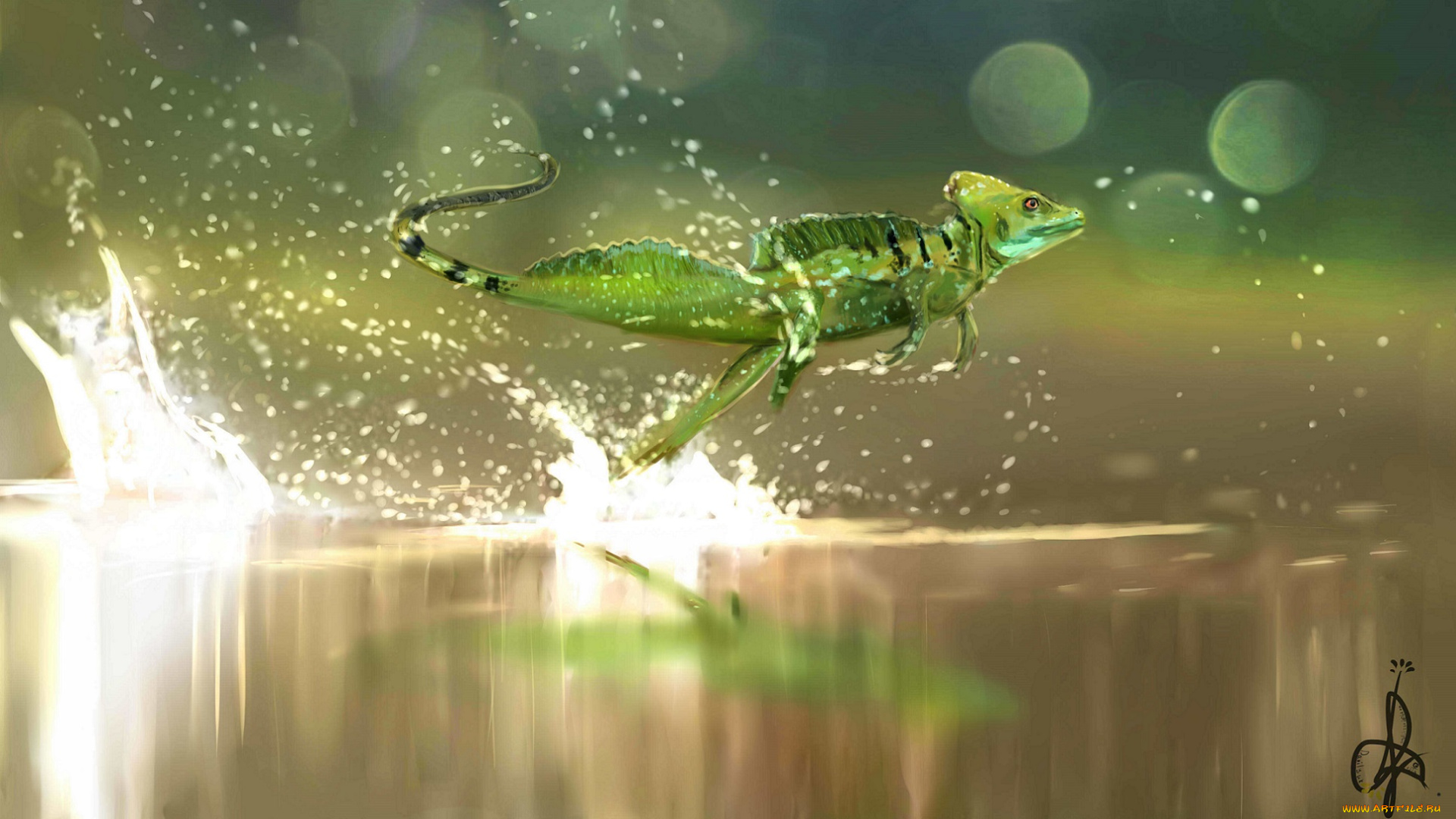 рисованные, животные, , ящерицы, ящерица, бег, брызги