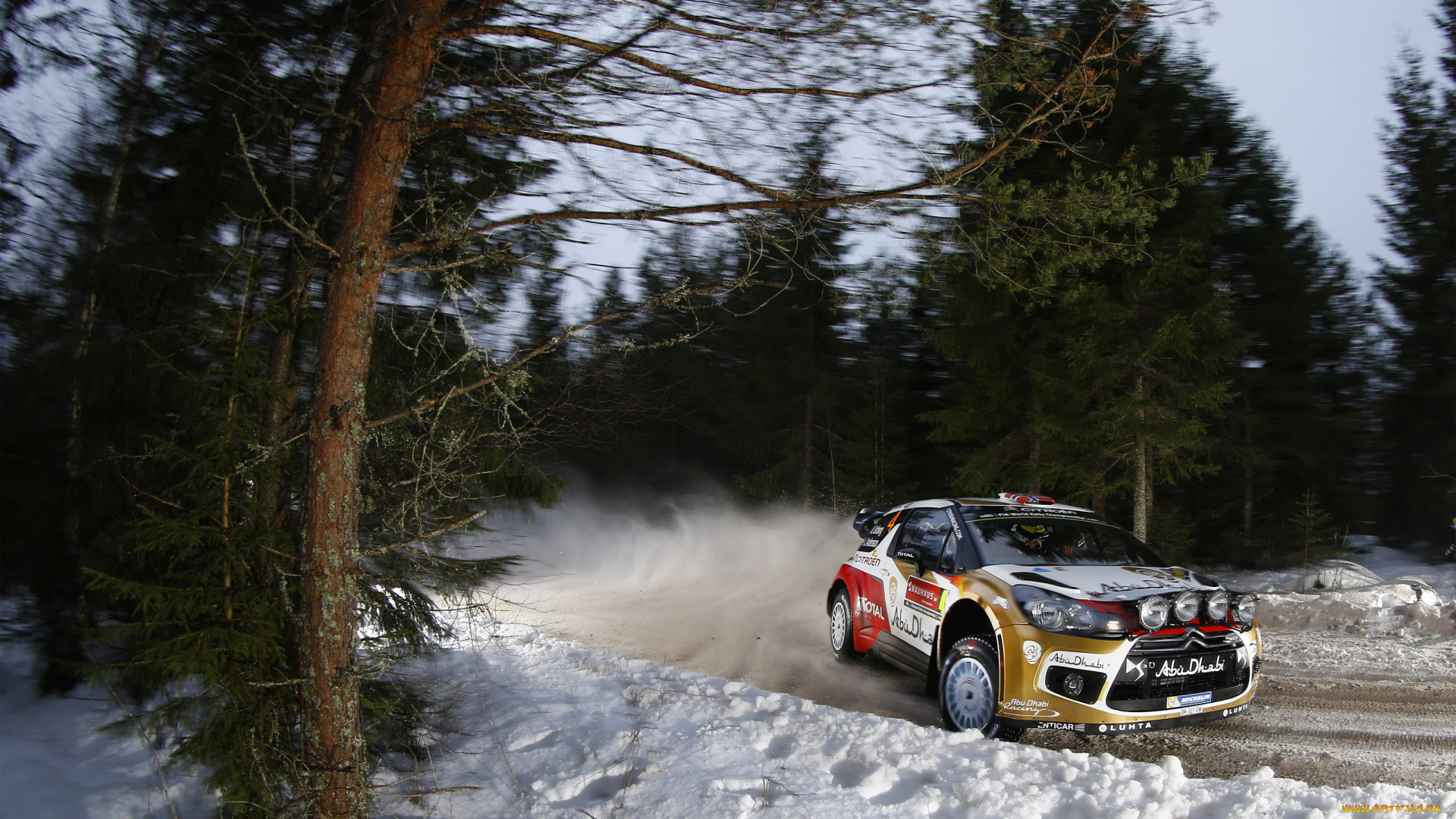 спорт, авторалли, ралли