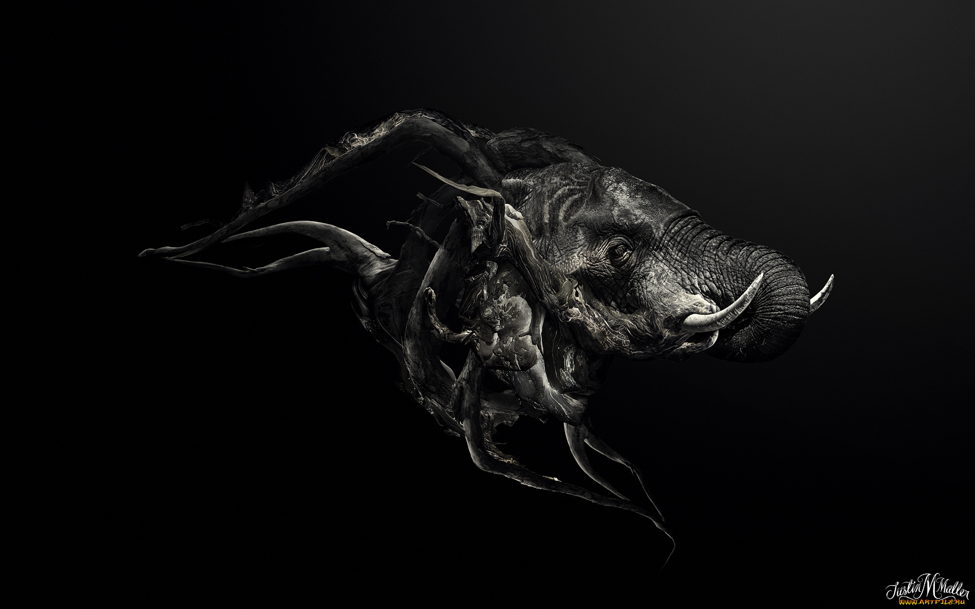 3д, графика, animals, , животные, фон, слон