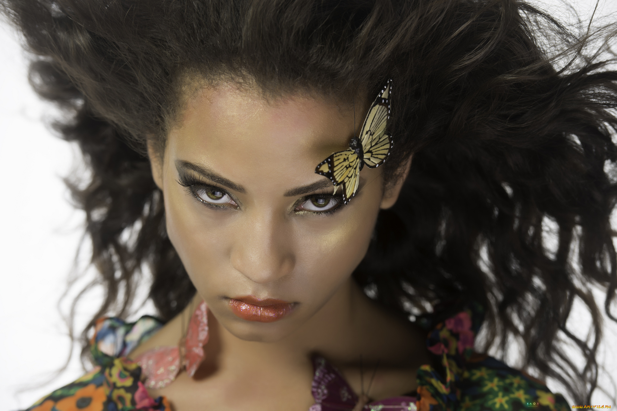 девушки, dana, deggs, взгляд, лицо