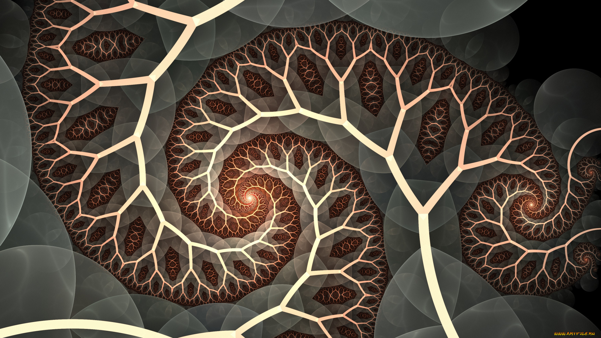 3д, графика, фракталы, , fractal, узор, фон, цвета