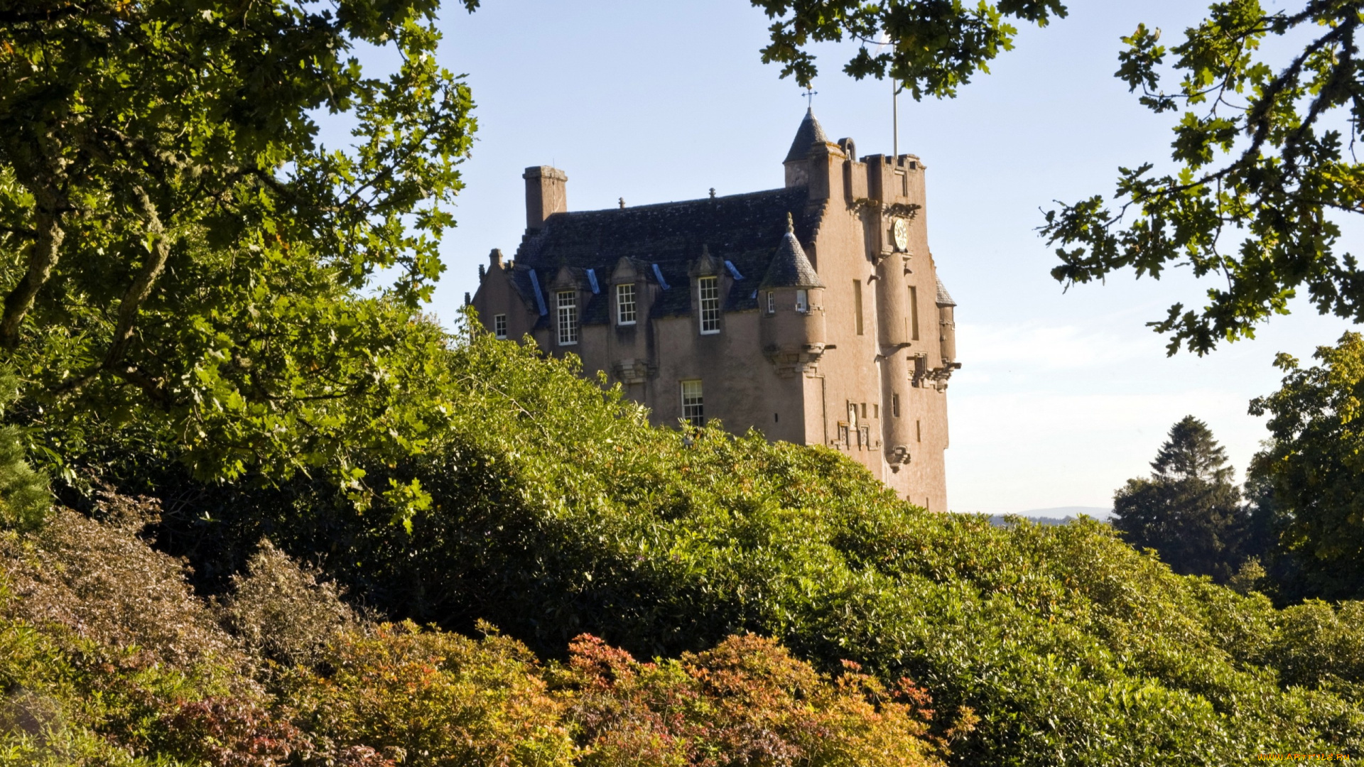 города, -, дворцы, , замки, , крепости, шотландия, замок, crathies, castle, кусты, деревья