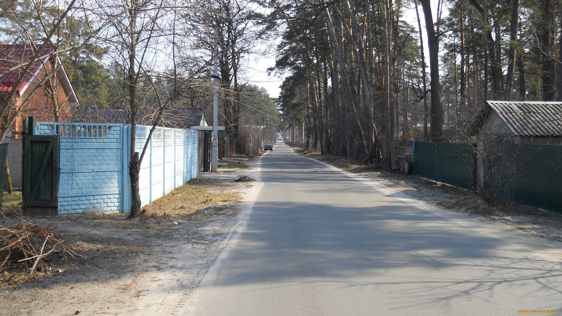 лесная, буча, , киевская, обл, природа, дороги, лесная, буча, киев, дорога, посёлок, сосны