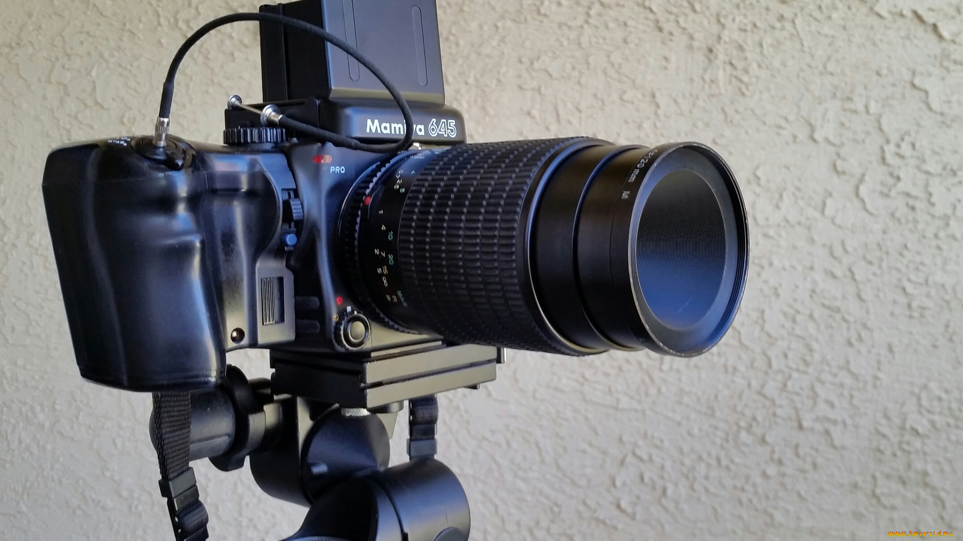 mamiya, 645, pro, with, wlf, and, 120mm, f4, 0, macro, lens, бренды, -, другое, штатив, фотокамера