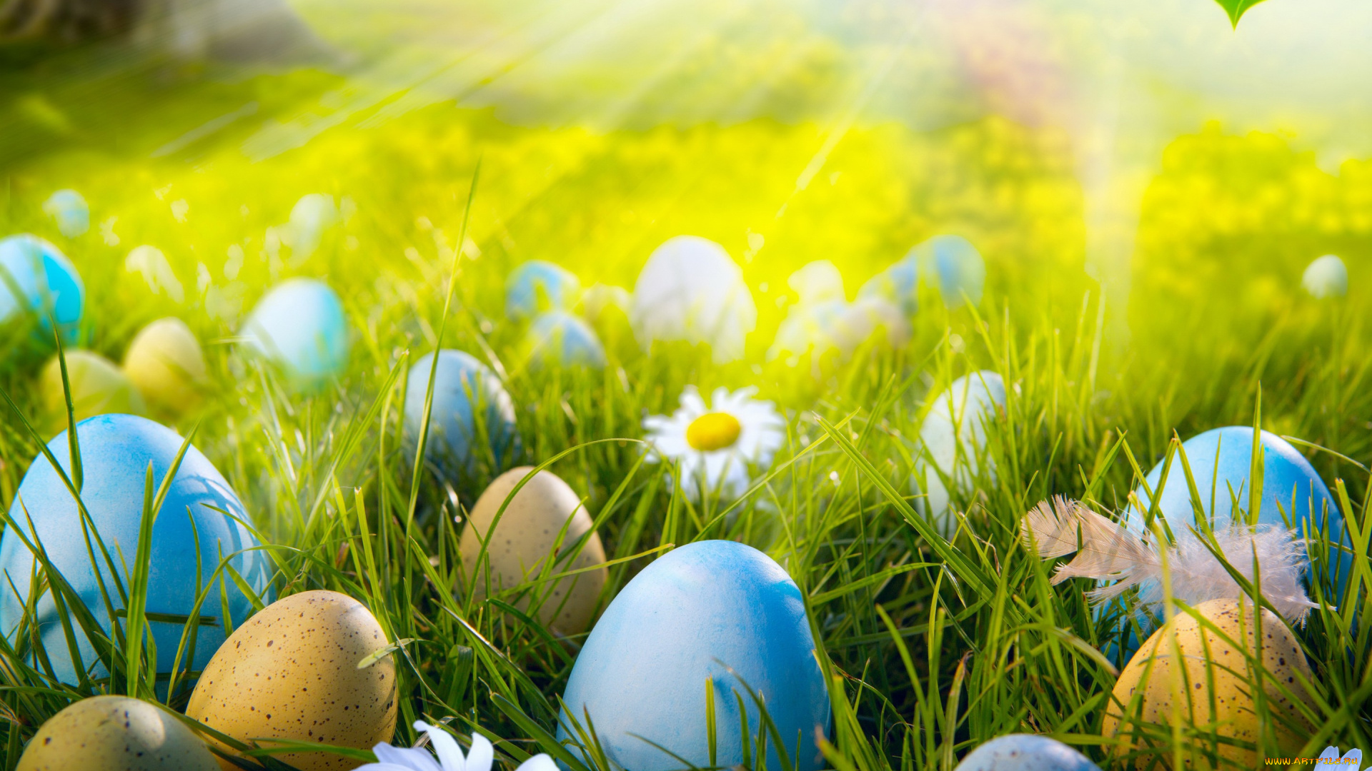 праздничные, пасха, лучи, яйца, заяц, весна, свет