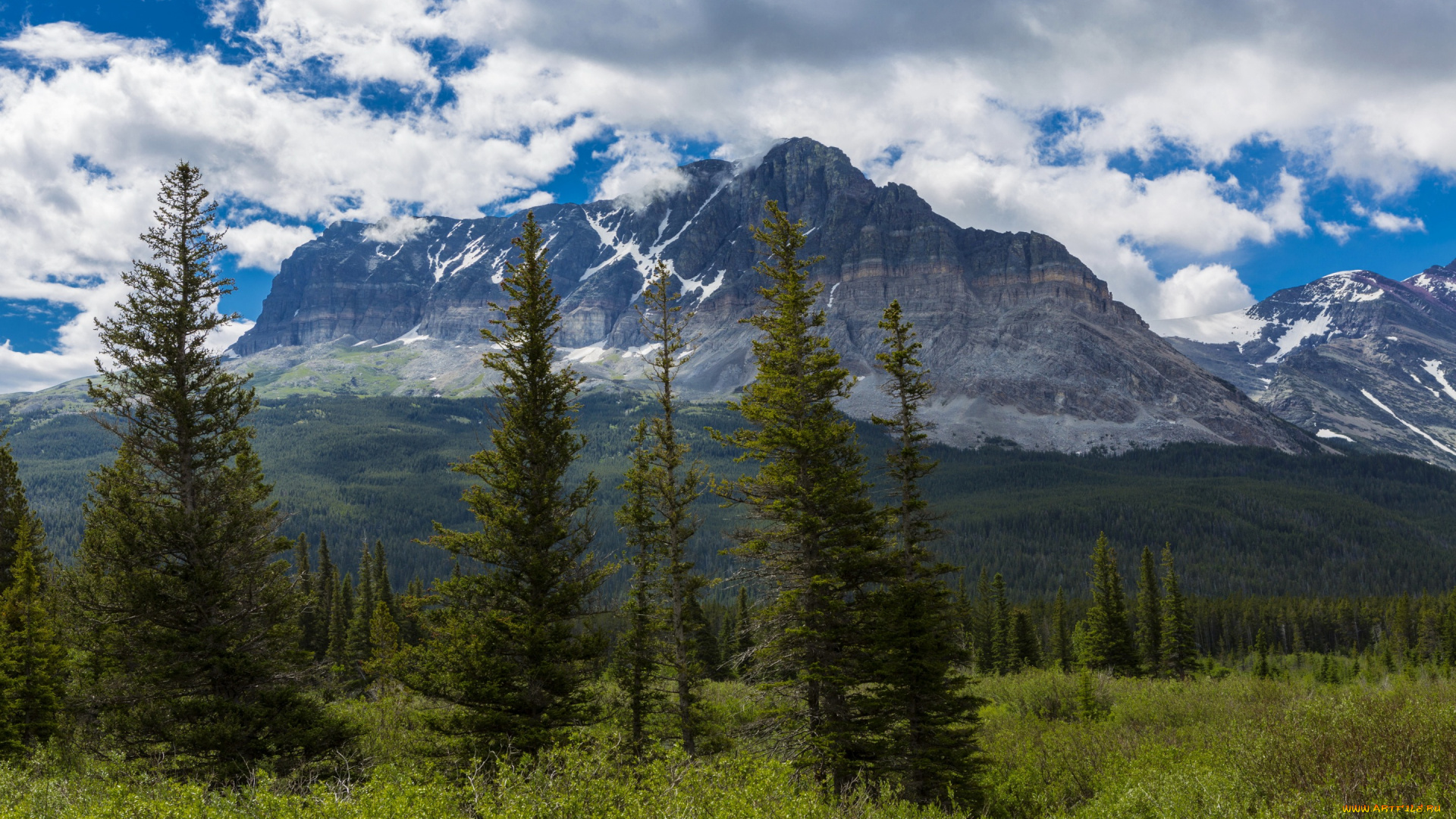 природа, горы, сша, glacier, montana, лес, облака, кусты, деревья