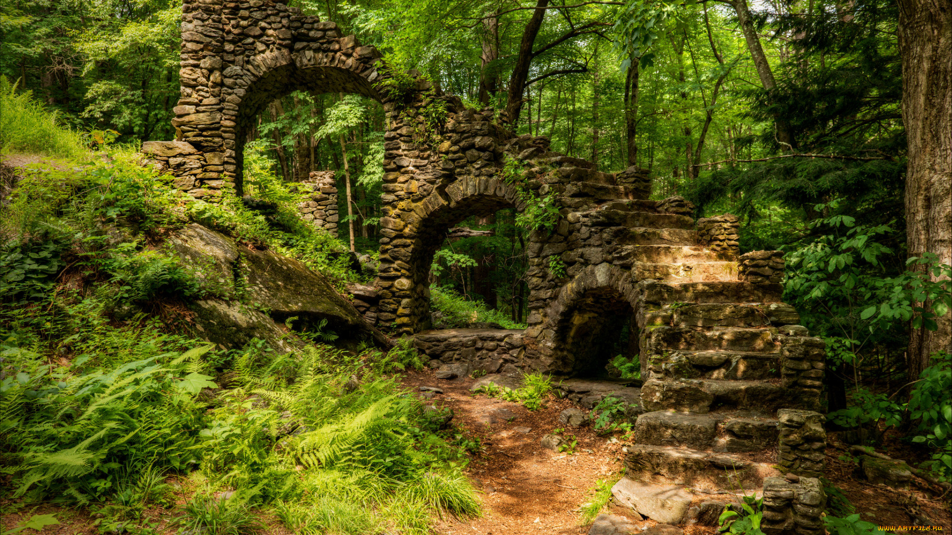 природа, лес, склон, тропинка, ступени