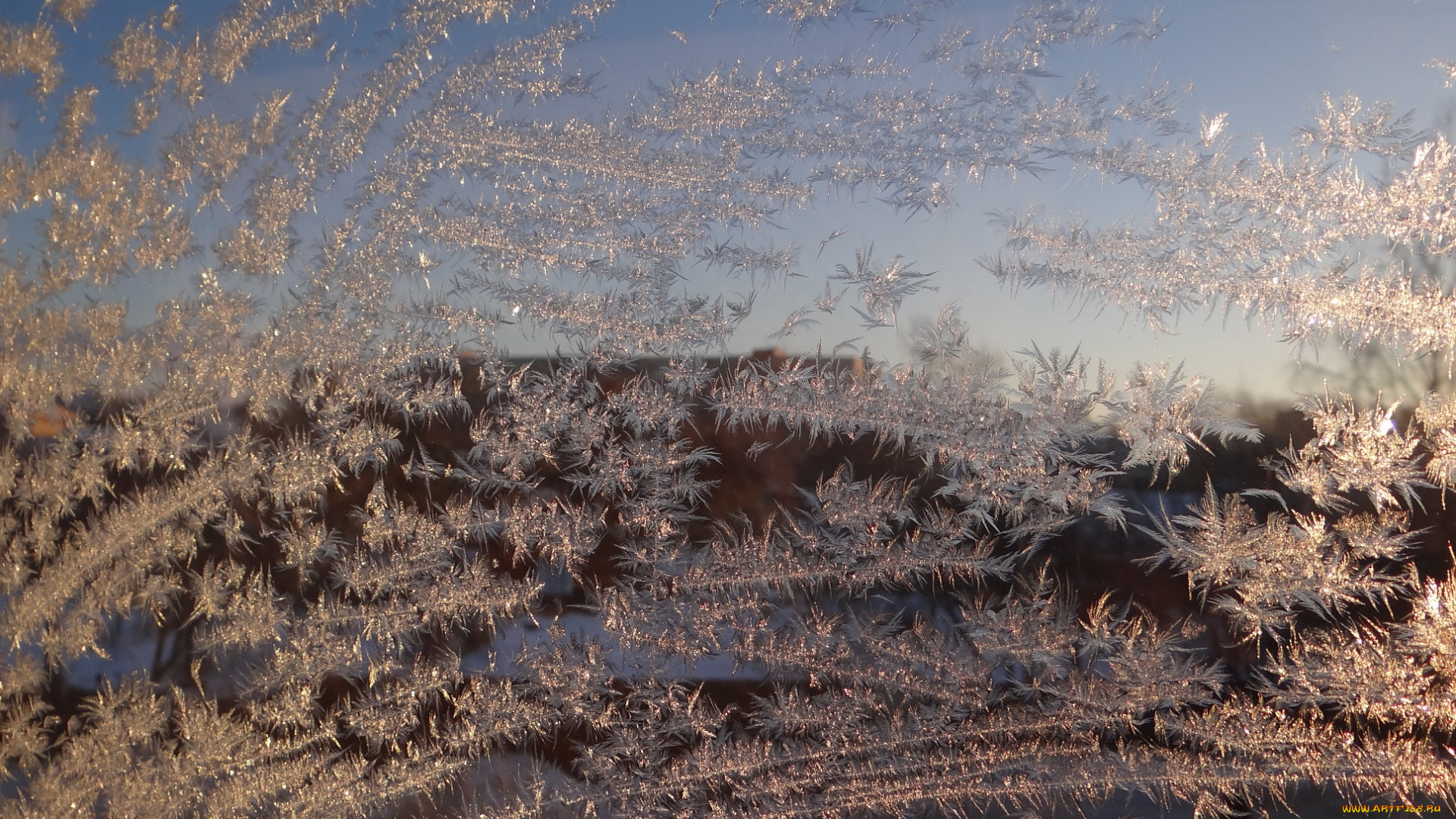 природа, макро, стекло, зима, иней