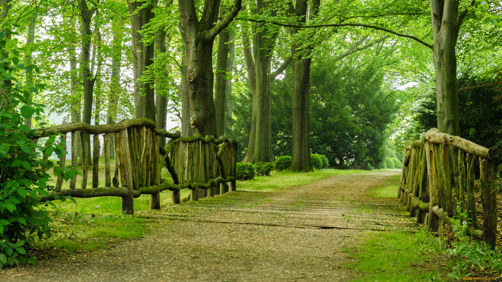 природа, парк, деревья, аллея, дорожка