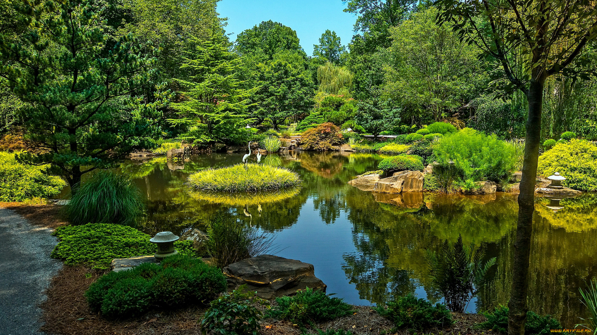 природа, парк, деревья, кусты, пруд, сша