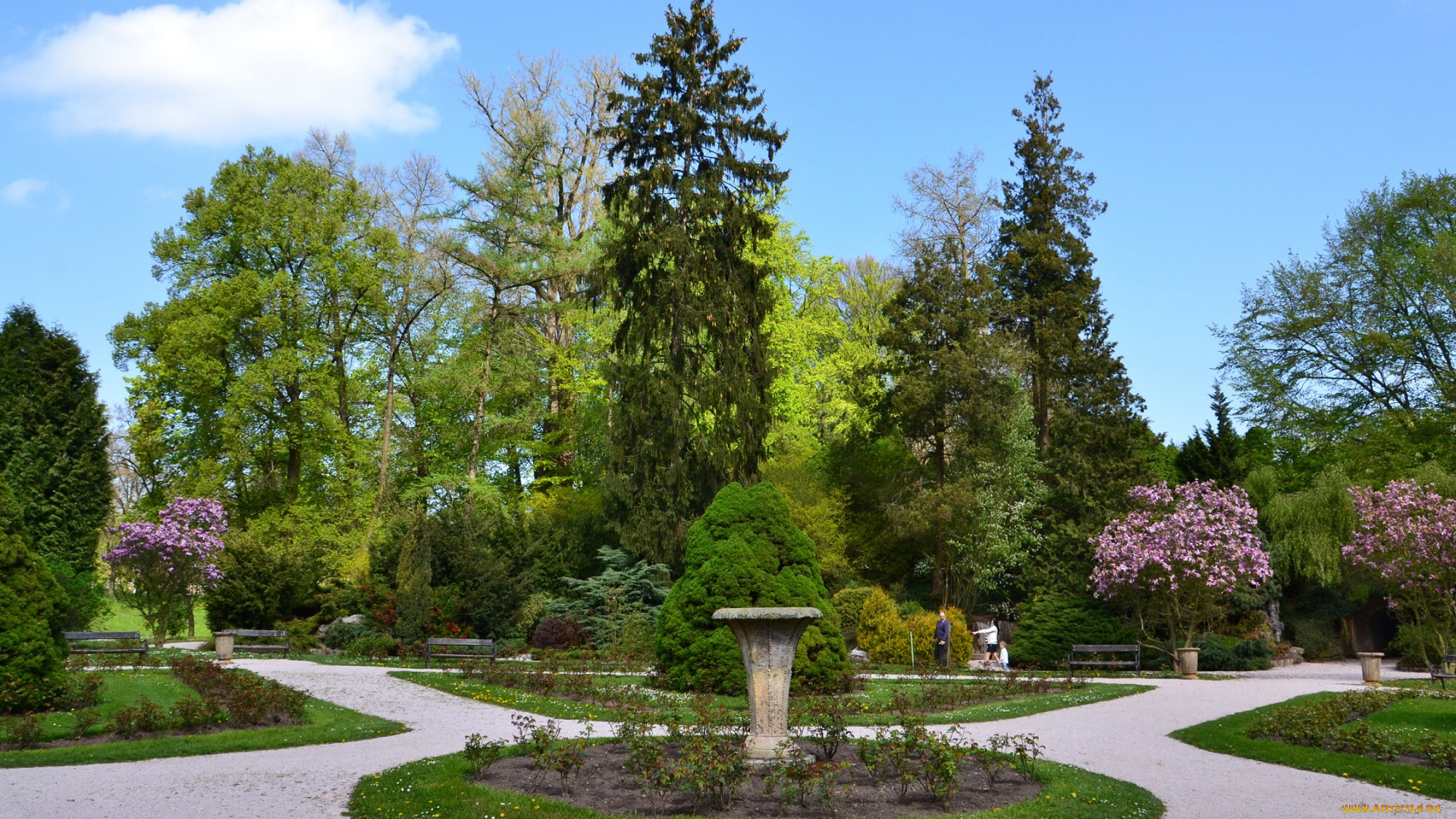 природа, парк, дорожки, деревья