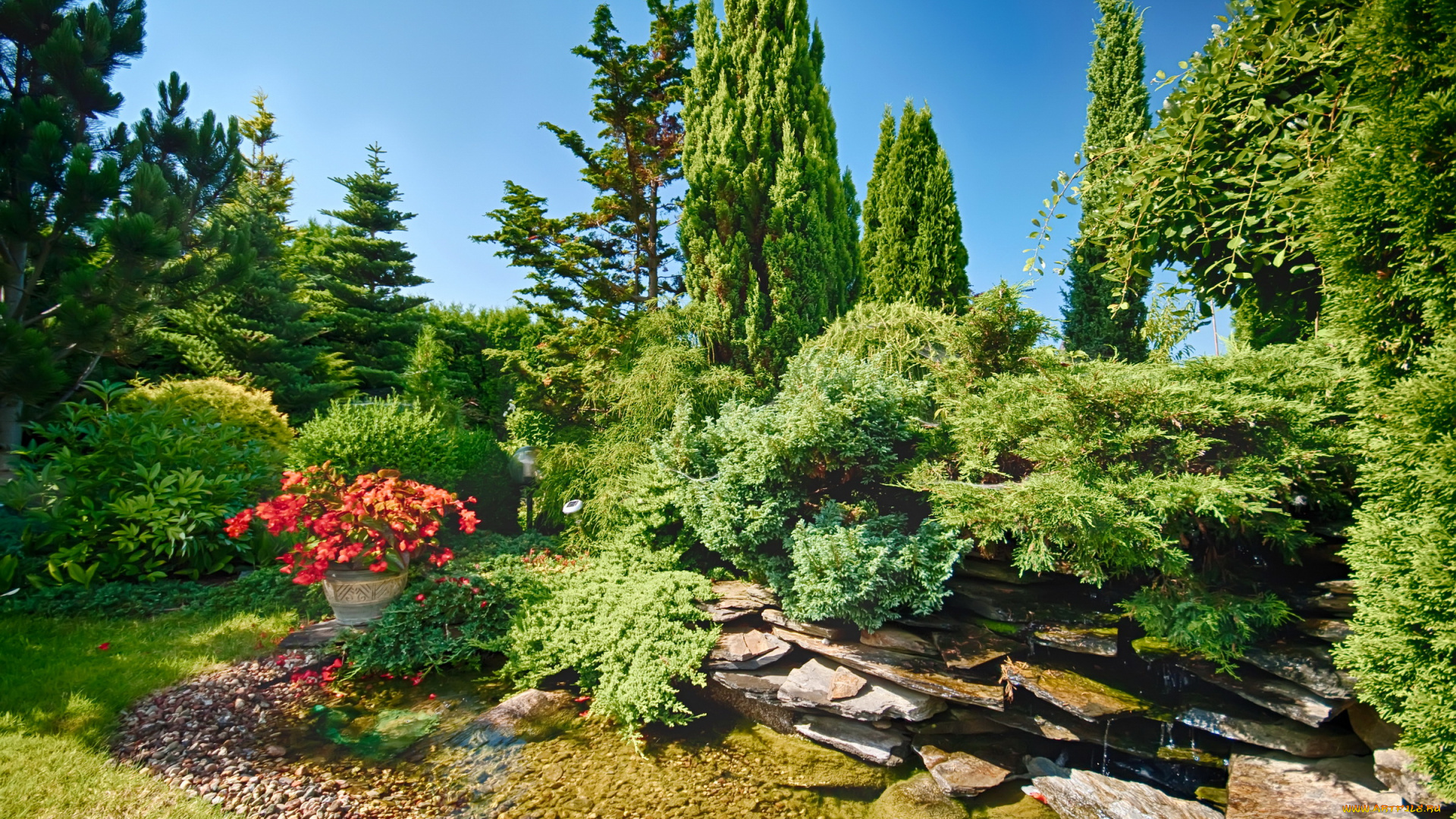 природа, парк, сад, деревья, цветы, кусты, ручей