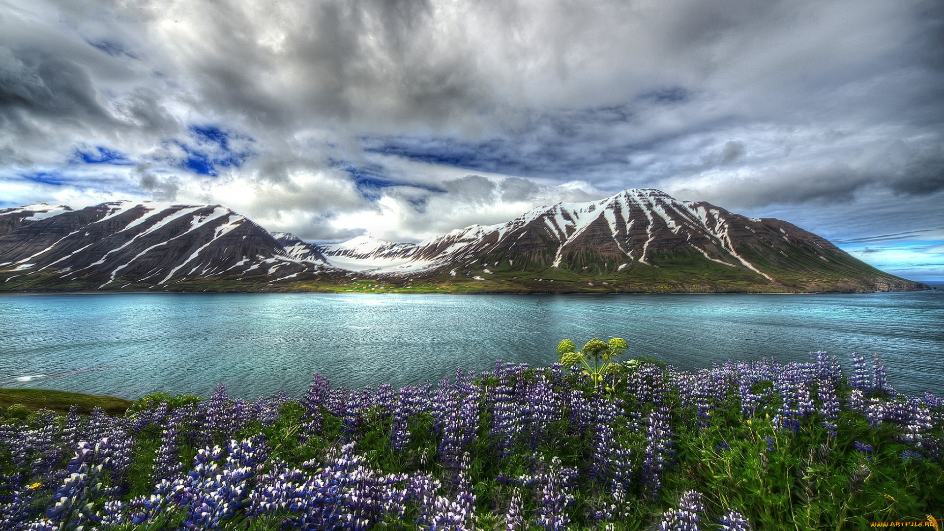 природа, пейзажи, пролив, цветы, горы