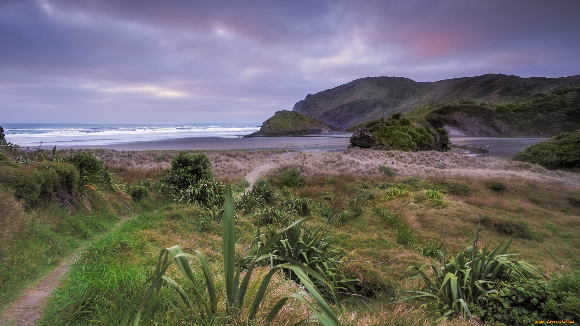 природа, побережье, океан, скалы, трава