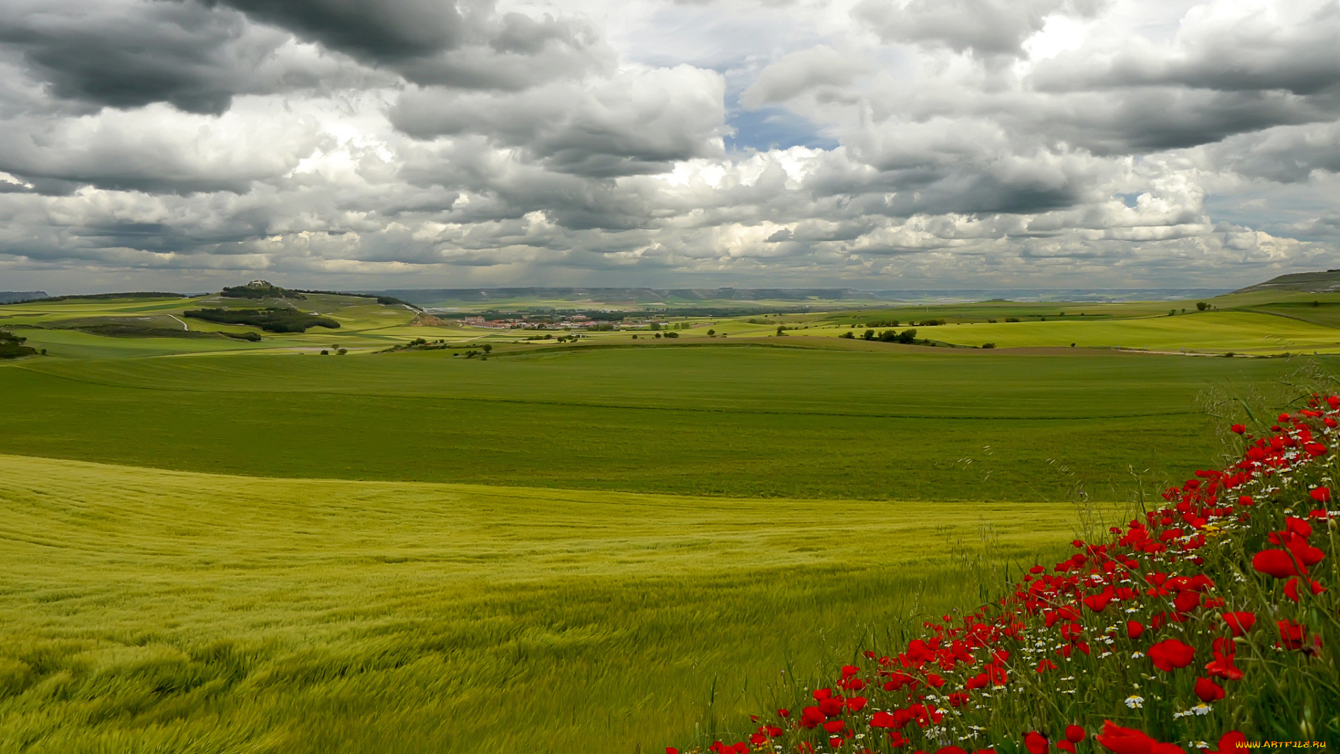природа, поля, италия, тоскана, небо, облака, холмы, трава, цветы, деревья, дом