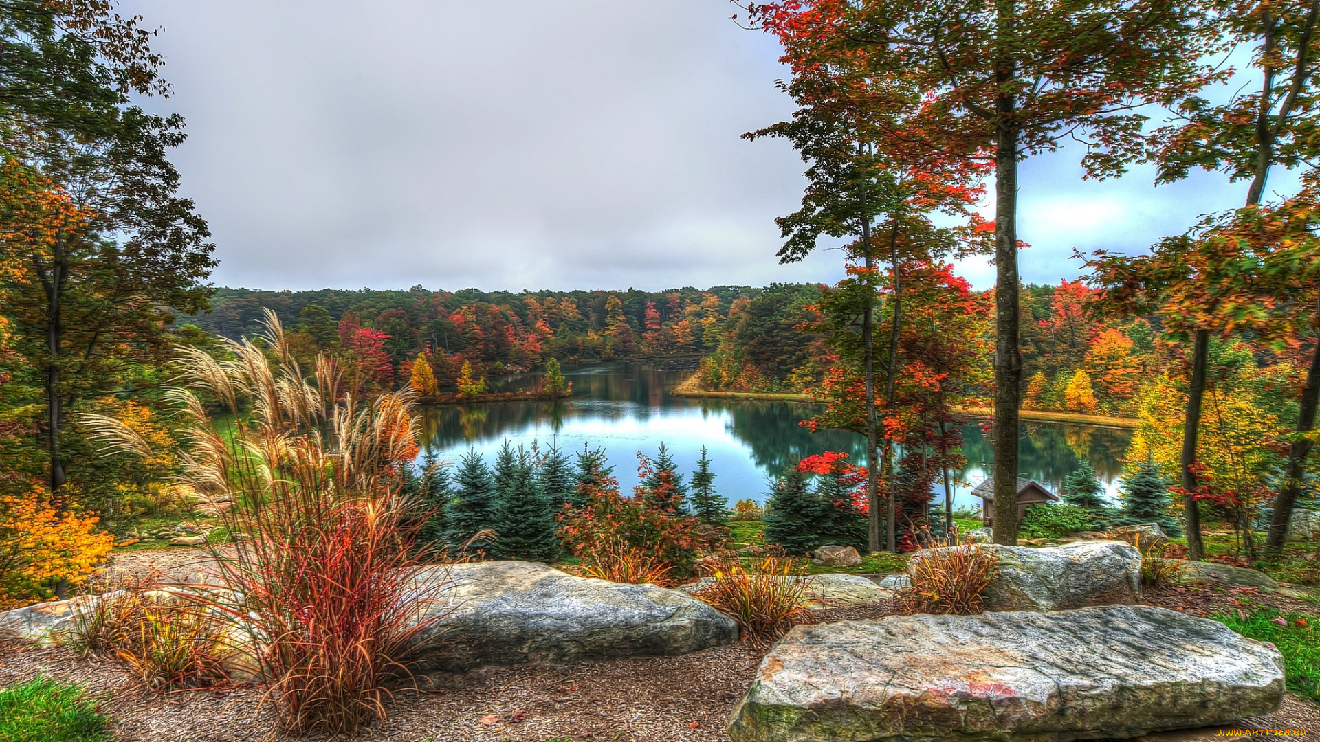 природа, реки, озера, лес, озеро, краски, панорама, осень