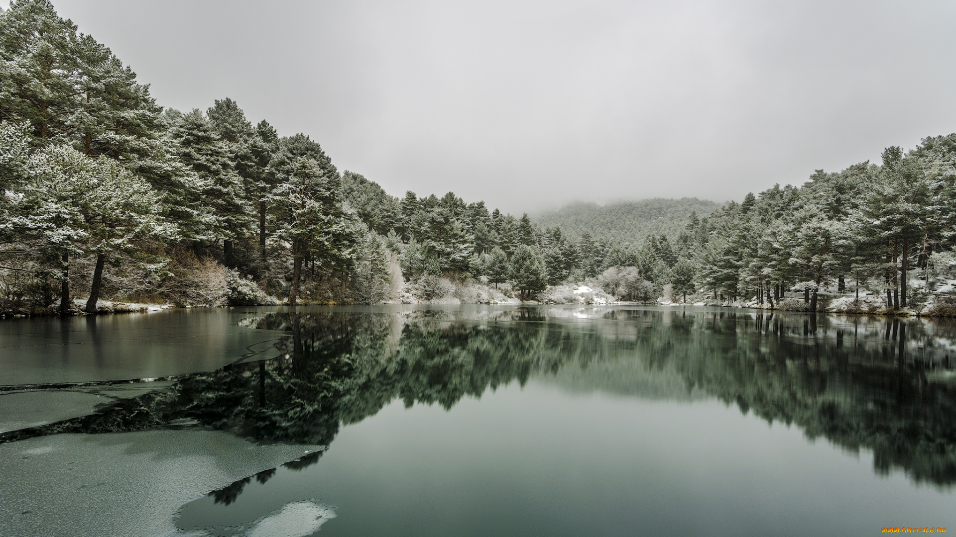 природа, реки, озера, лес, река