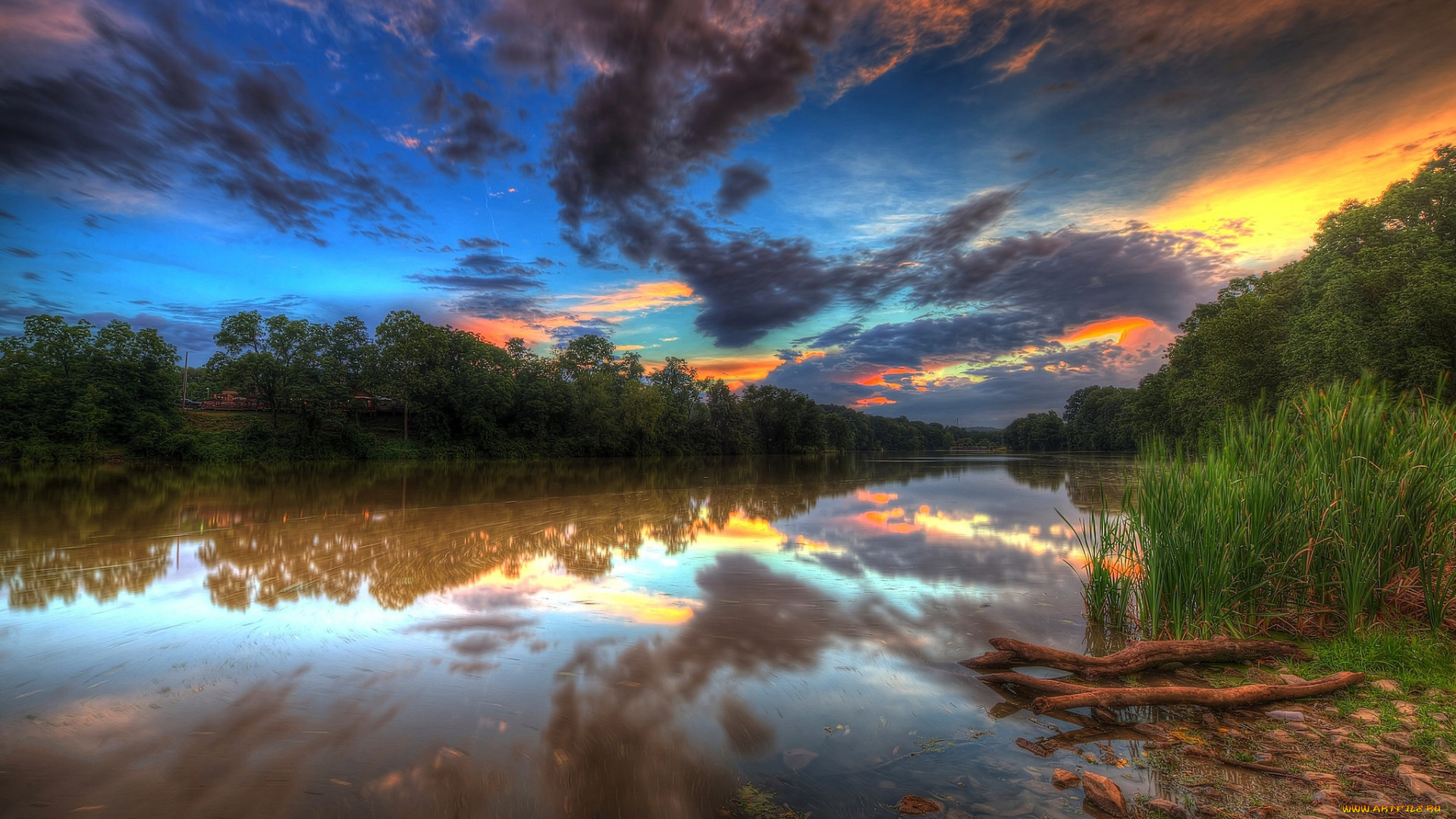 природа, реки, озера, лес, река