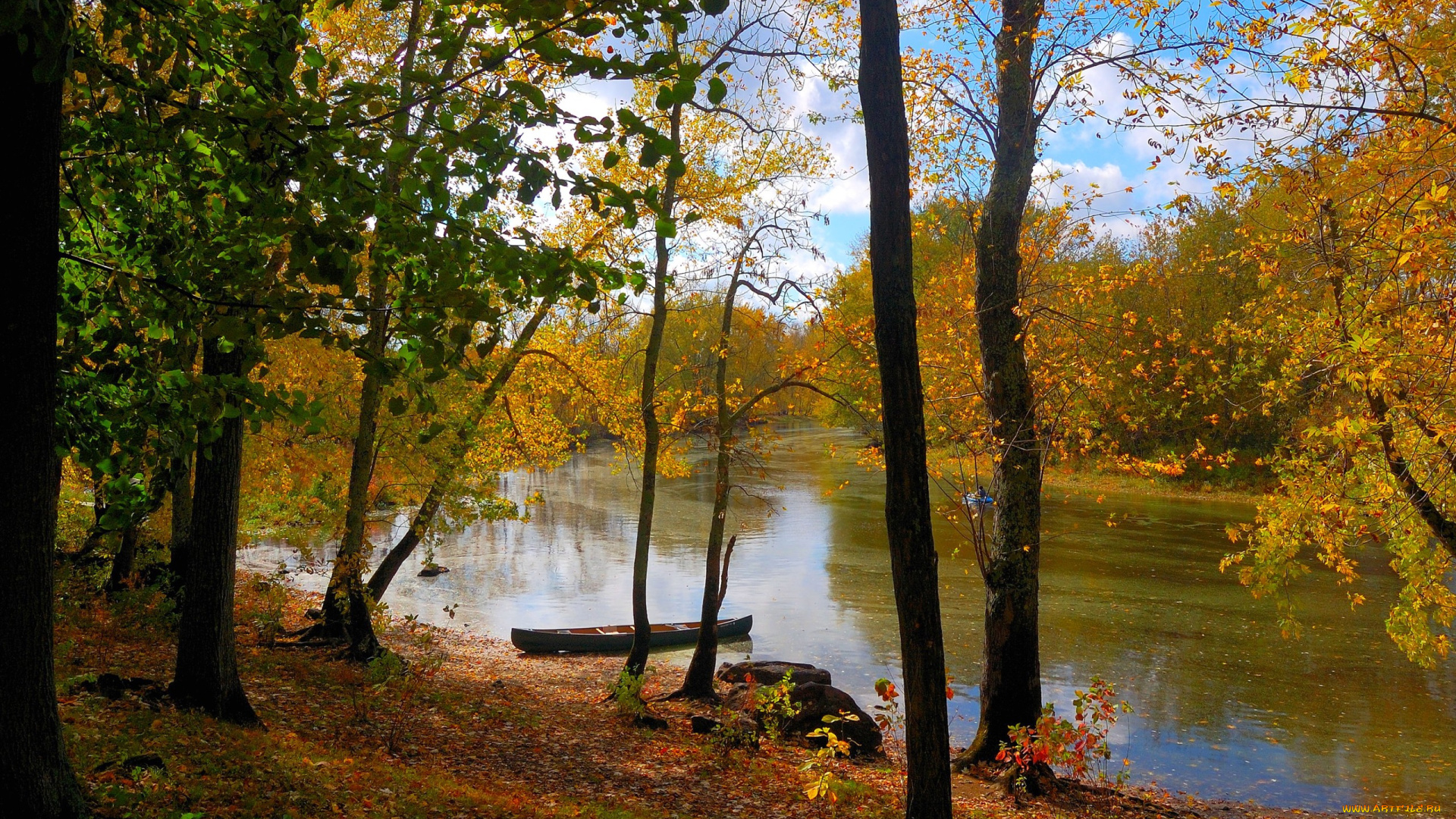 природа, реки, озера, лодка, река, лес, небо, осень, листья, деревья