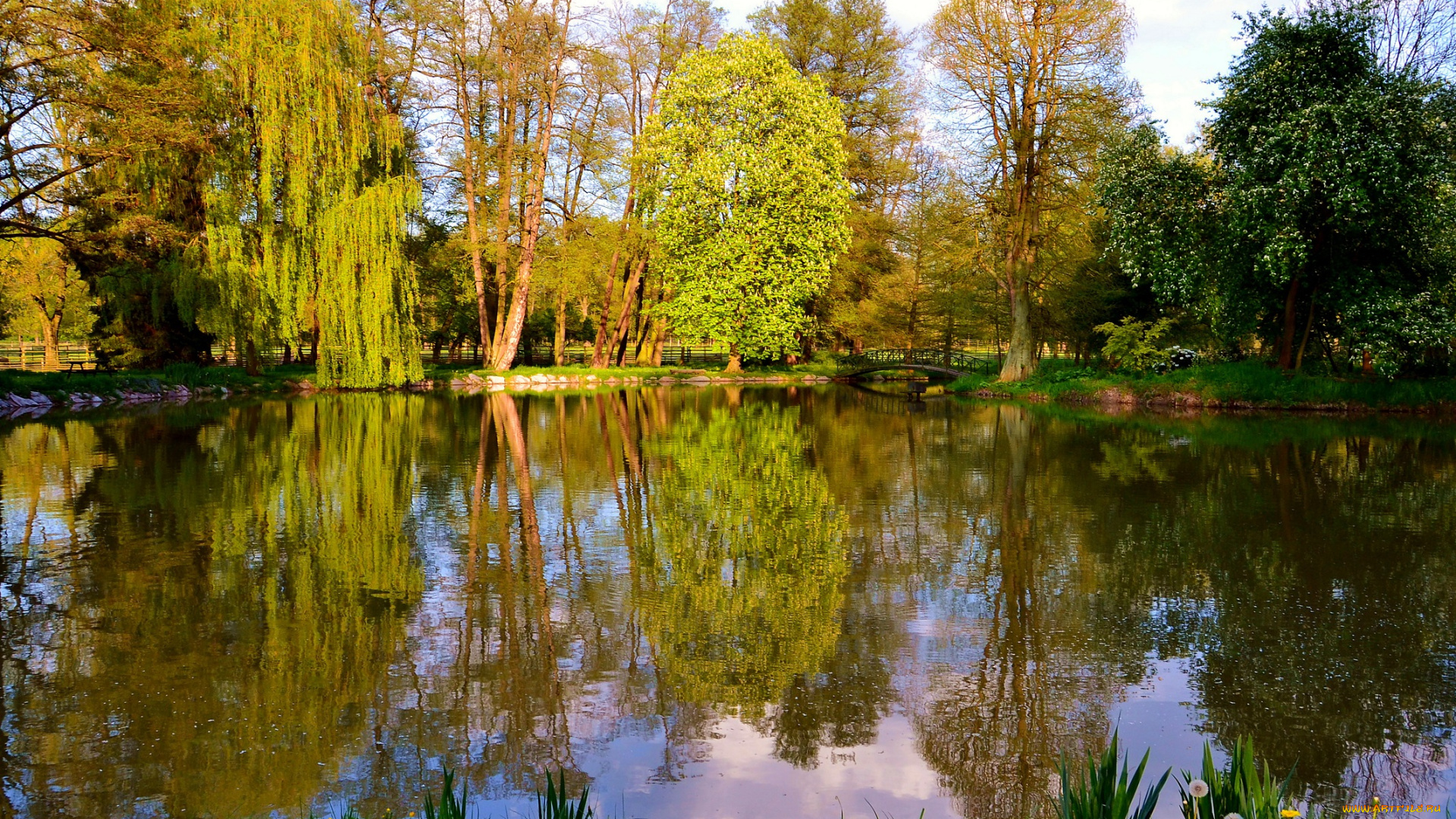 природа, реки, озера, отражение, деревья, озеро, небо