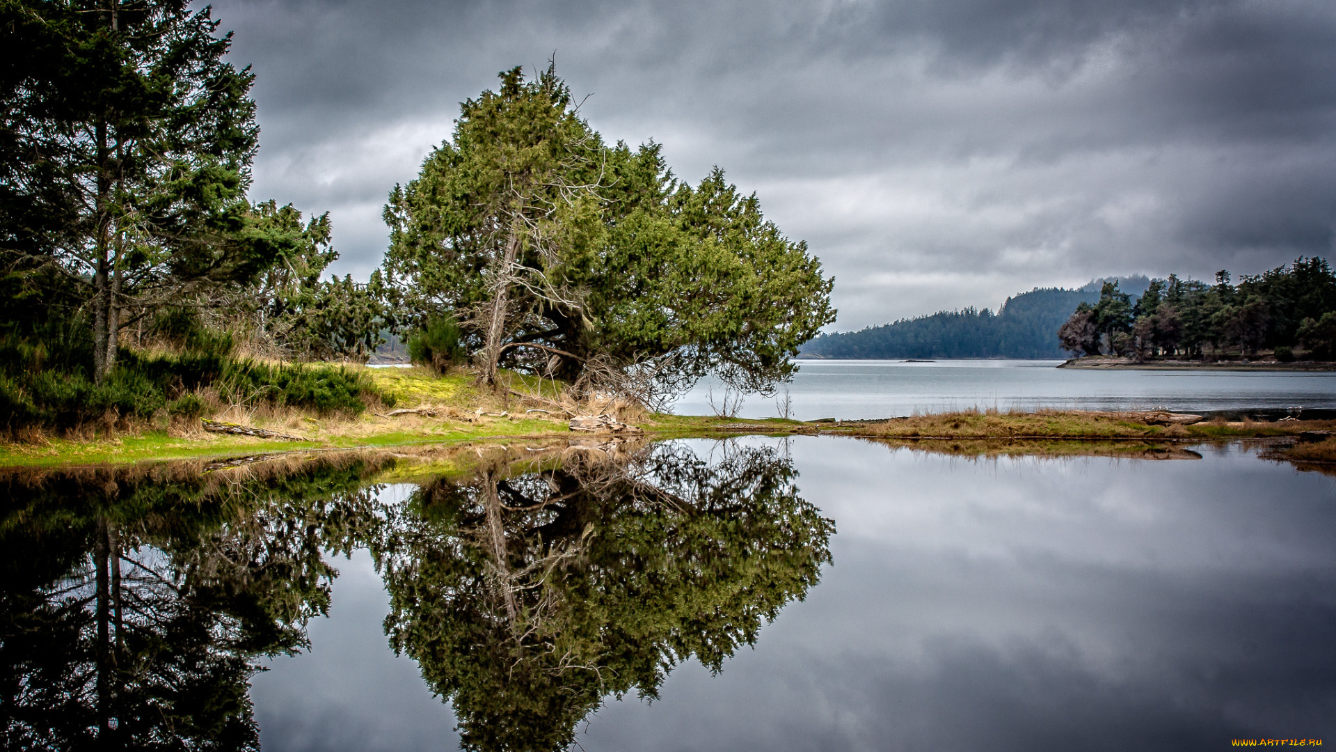 природа, реки, озера, река, берег, деревья, тучи, простор