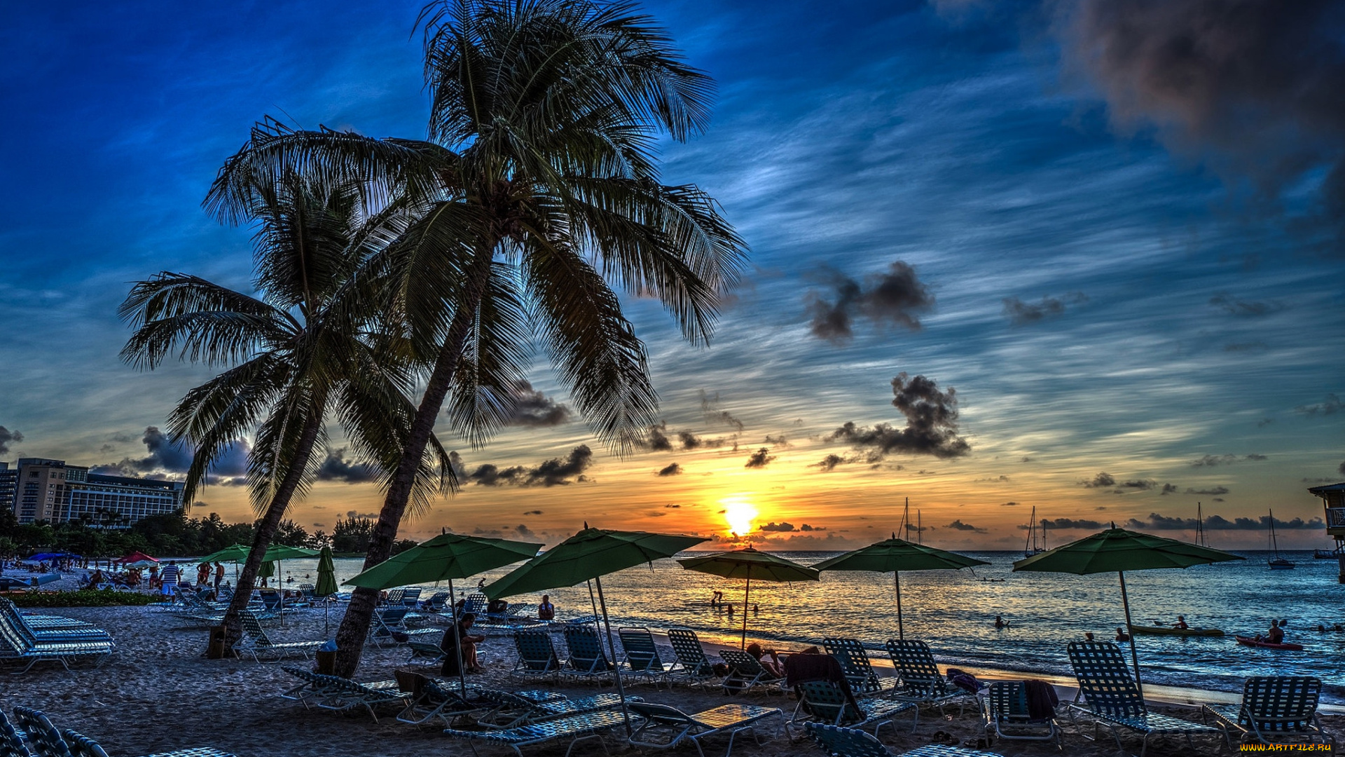 природа, тропики, океан, пляж, пальмы, шезлонги