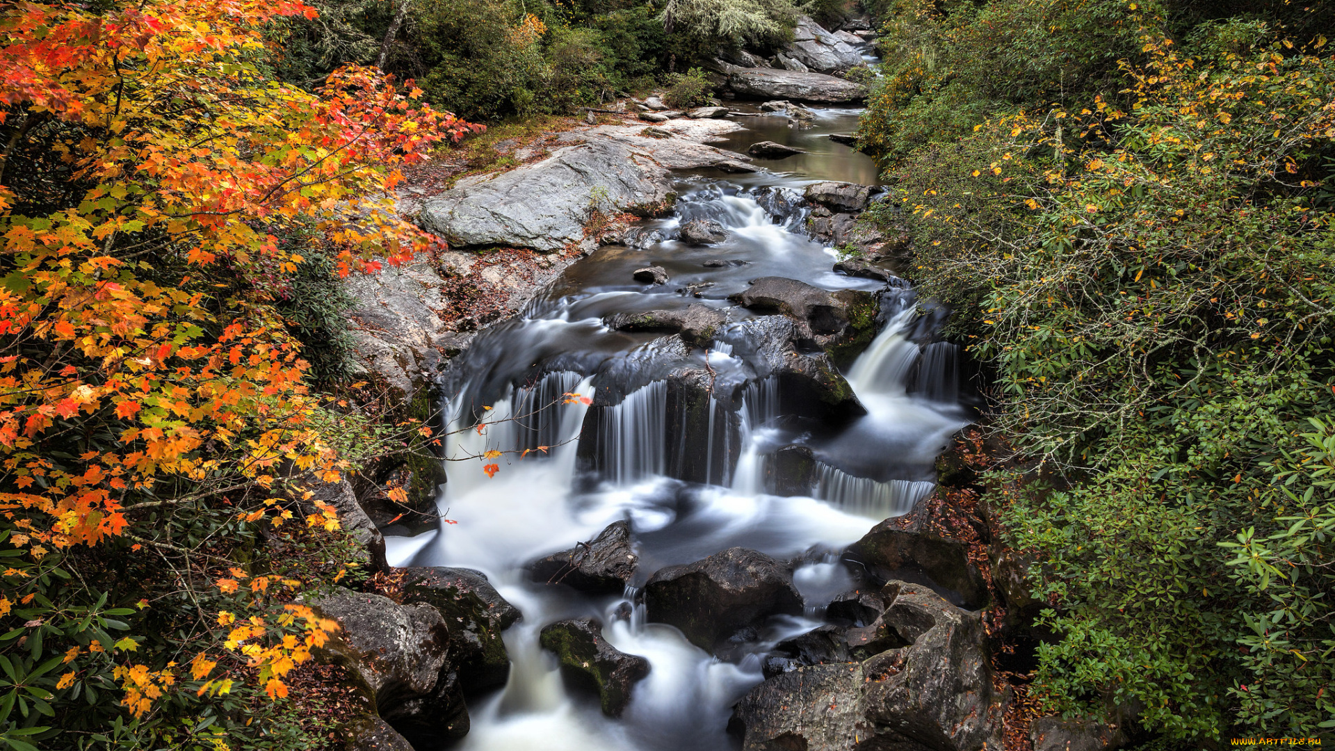 природа, водопады, лес, река, водопад