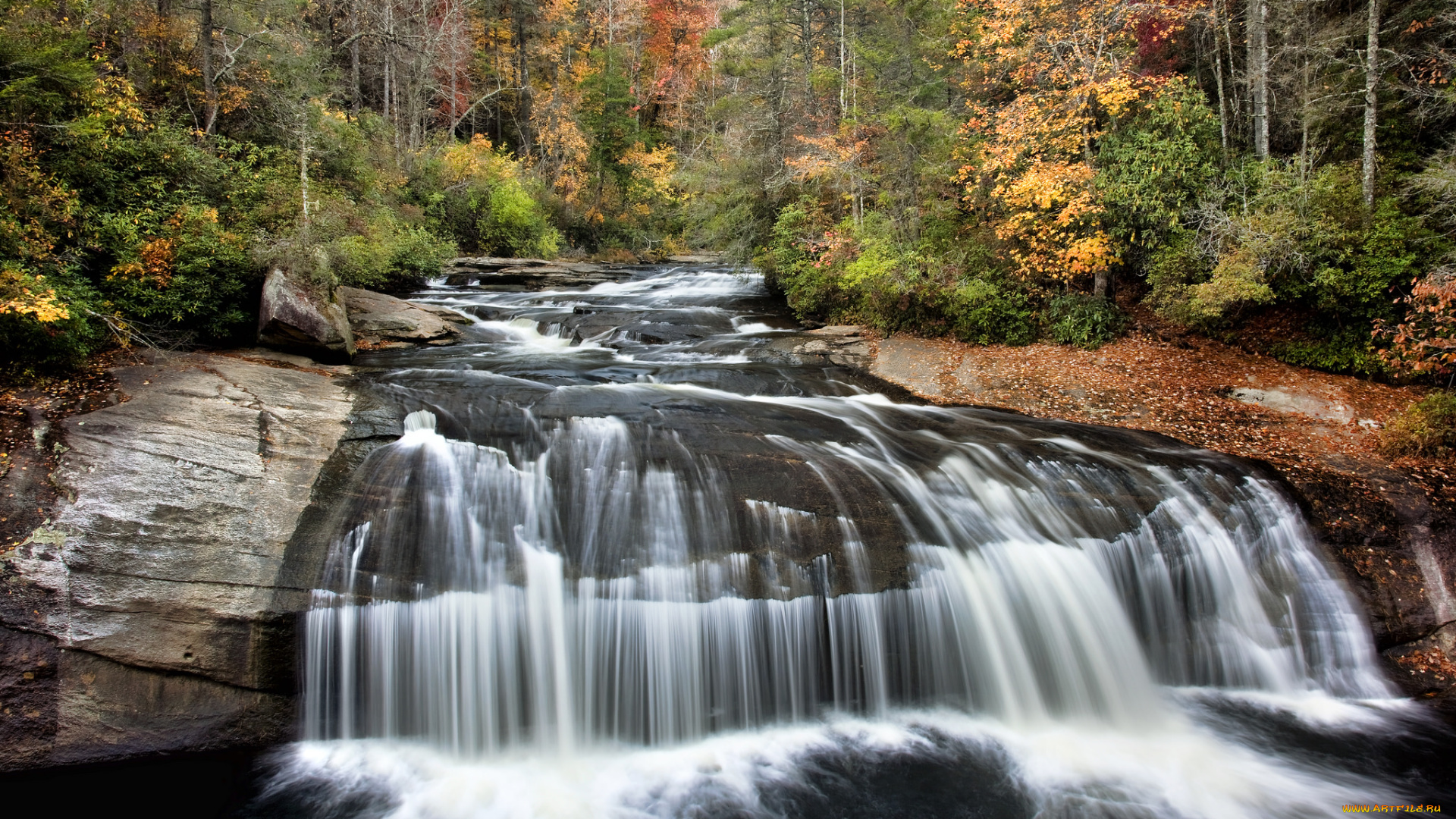природа, водопады, лес, река, водопад