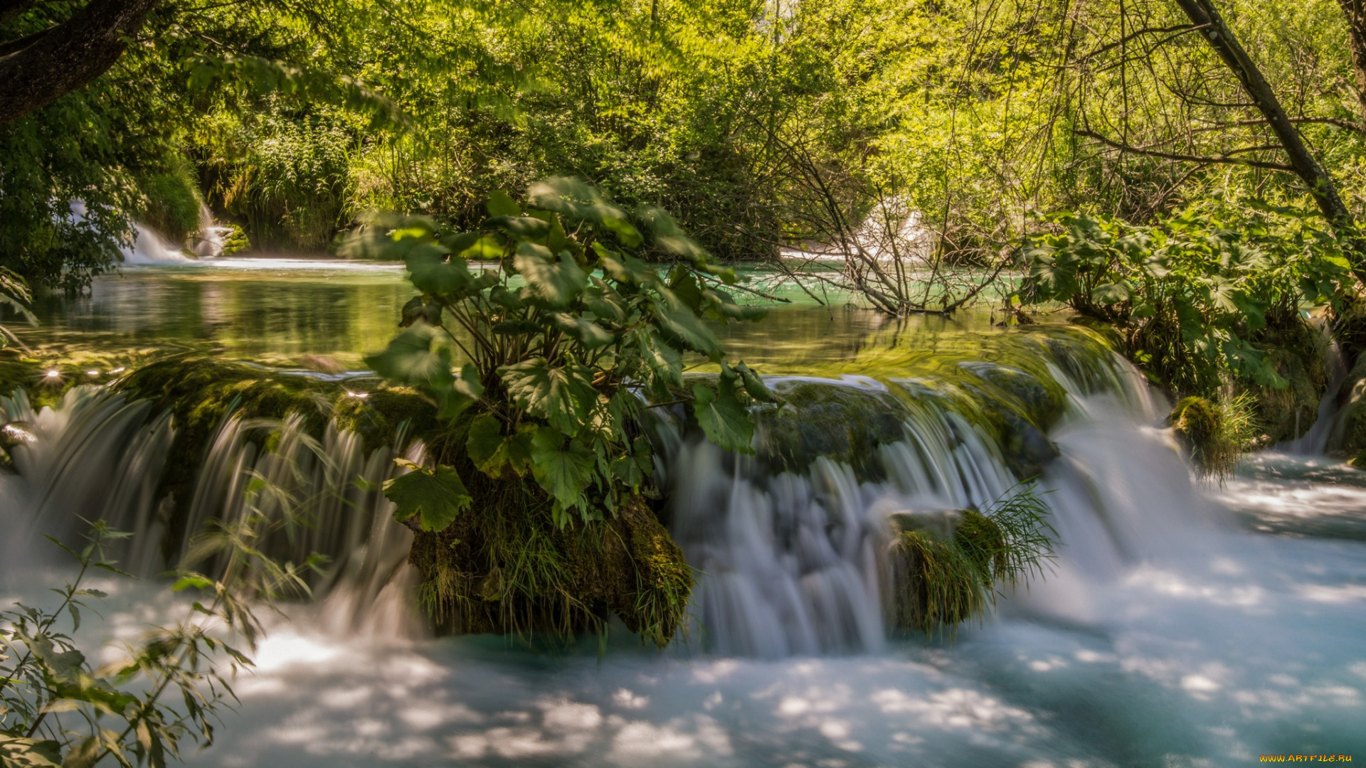 природа, водопады, лес, река, водопад