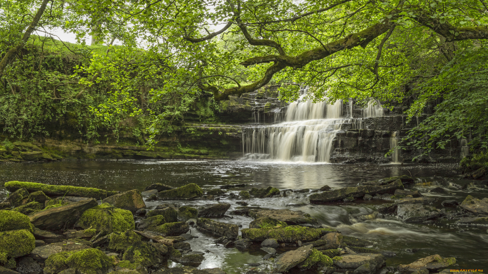 природа, водопады, лес, река, водопад