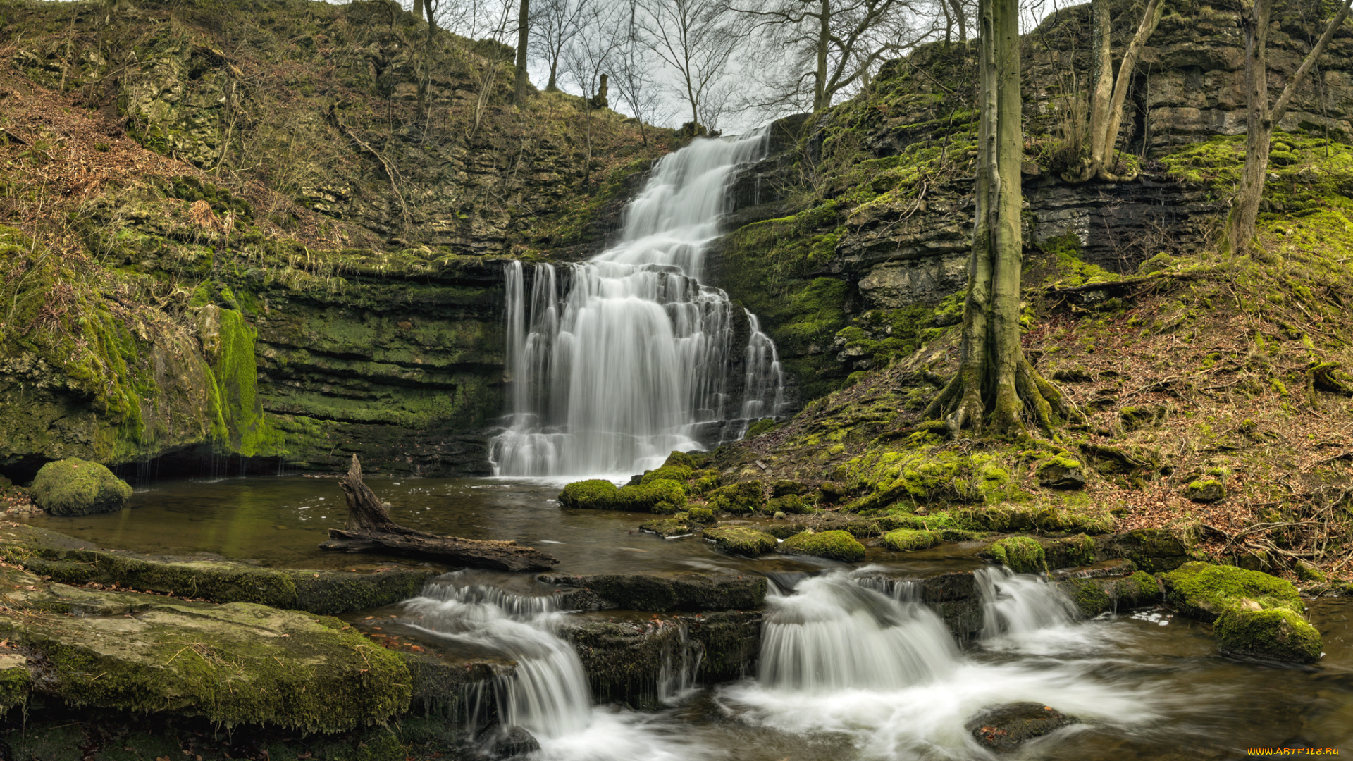 природа, водопады, водопад, река, лес