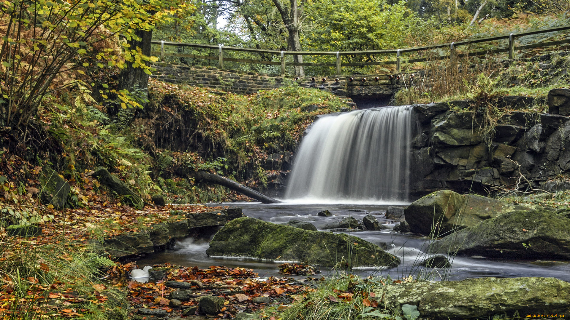 природа, водопады, водопад, река, лес