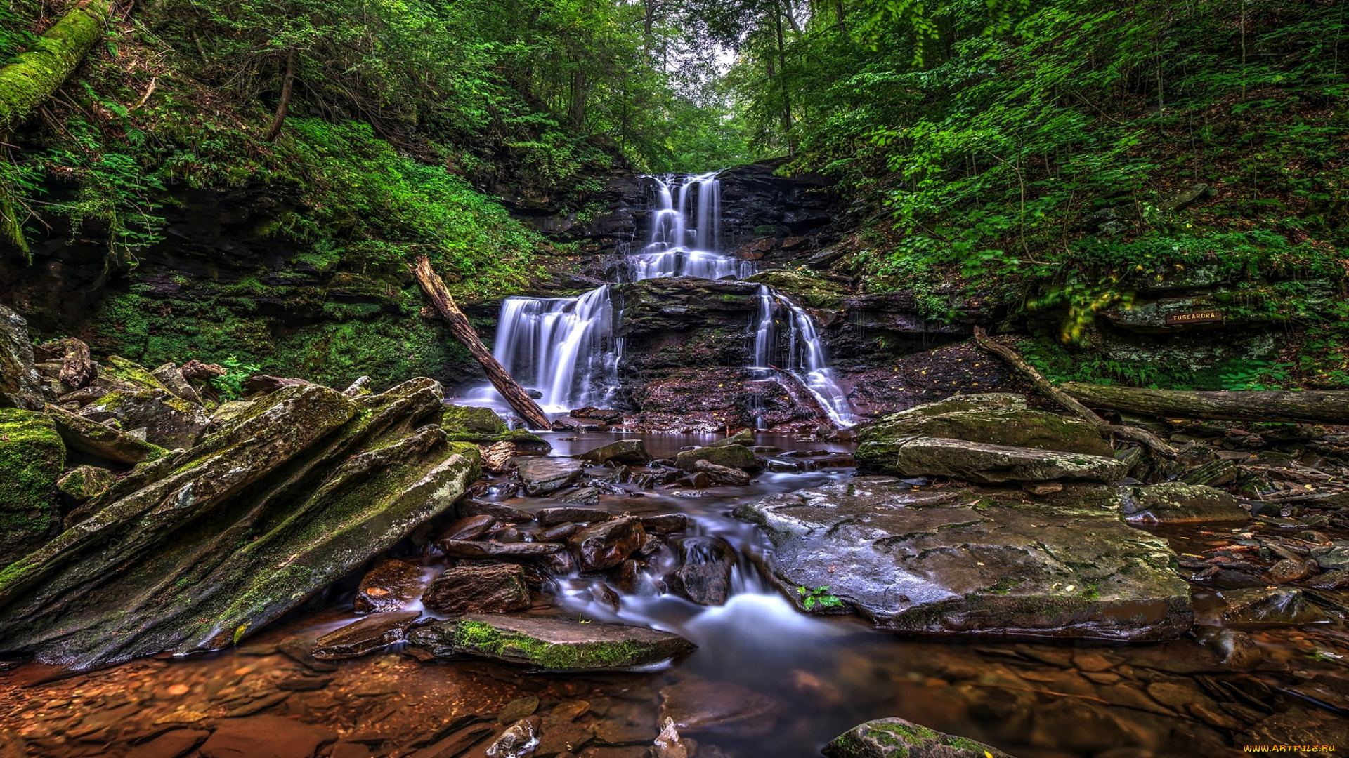 природа, водопады, водопад, река, лес