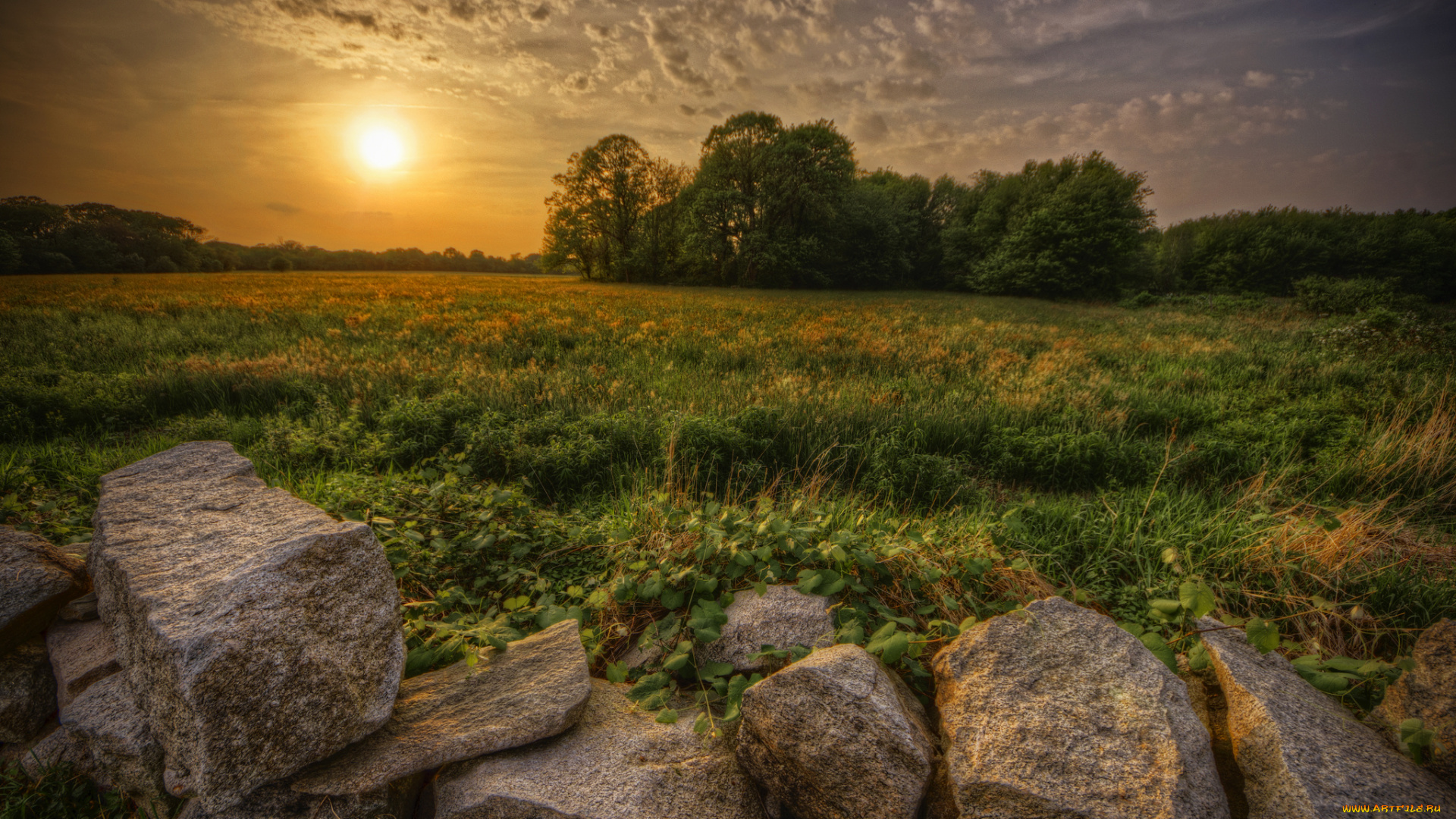 природа, восходы, закаты, лес, поле, трава, облака, солнце