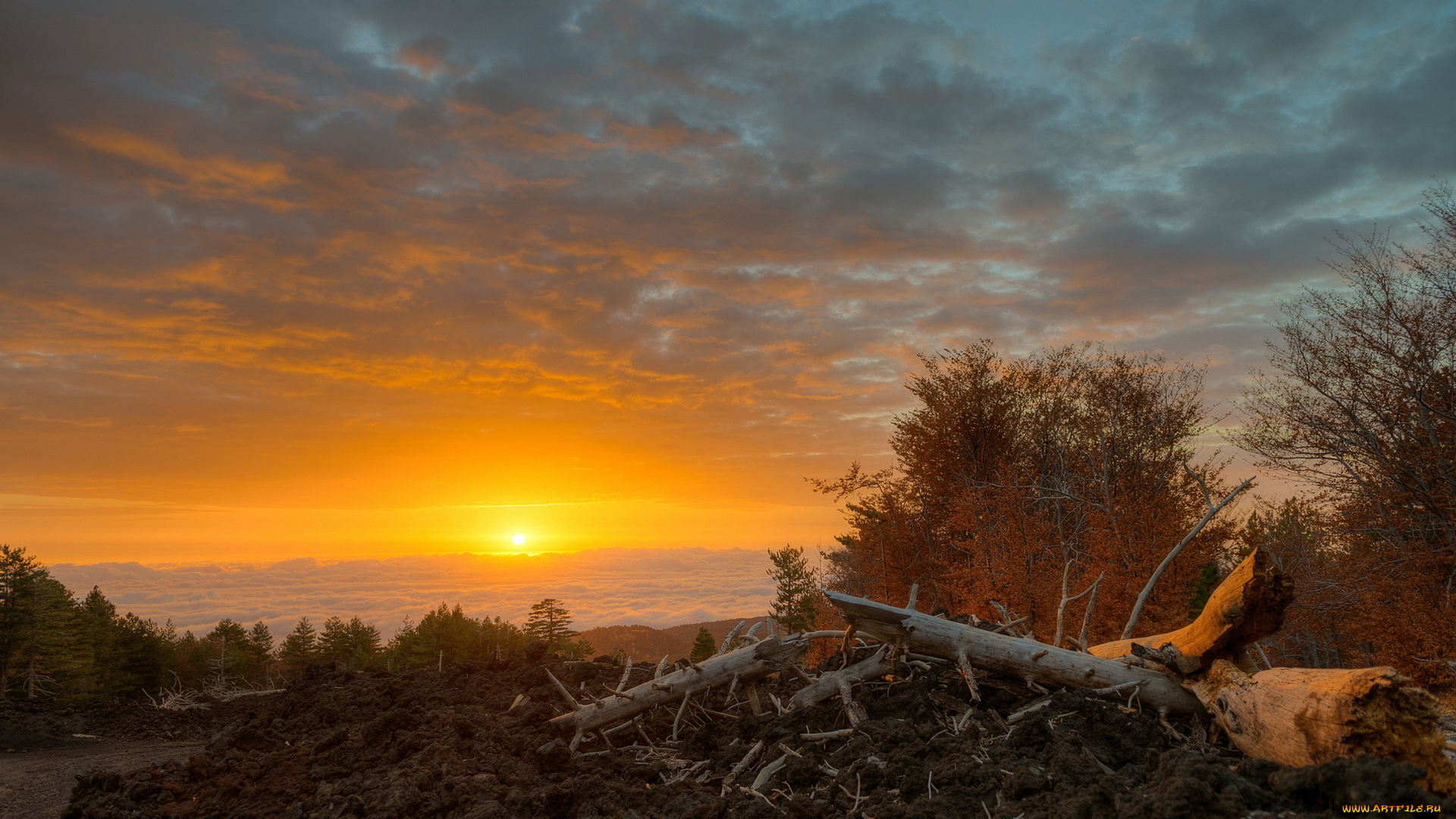 природа, восходы, закаты, лингуаглосса, италия, сицилия, утро, восход