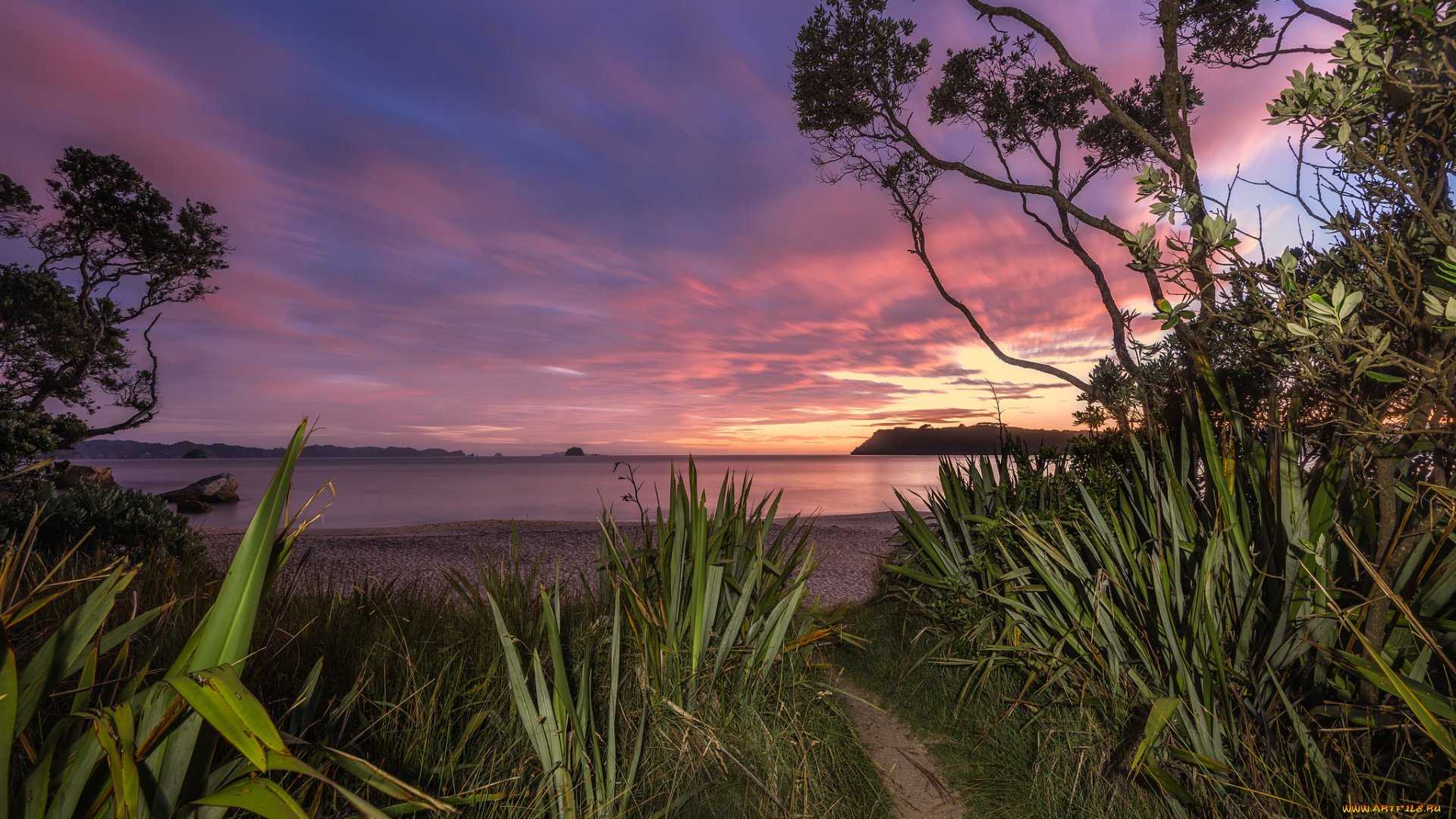 природа, восходы, закаты, океан, скалы, трава, зарево