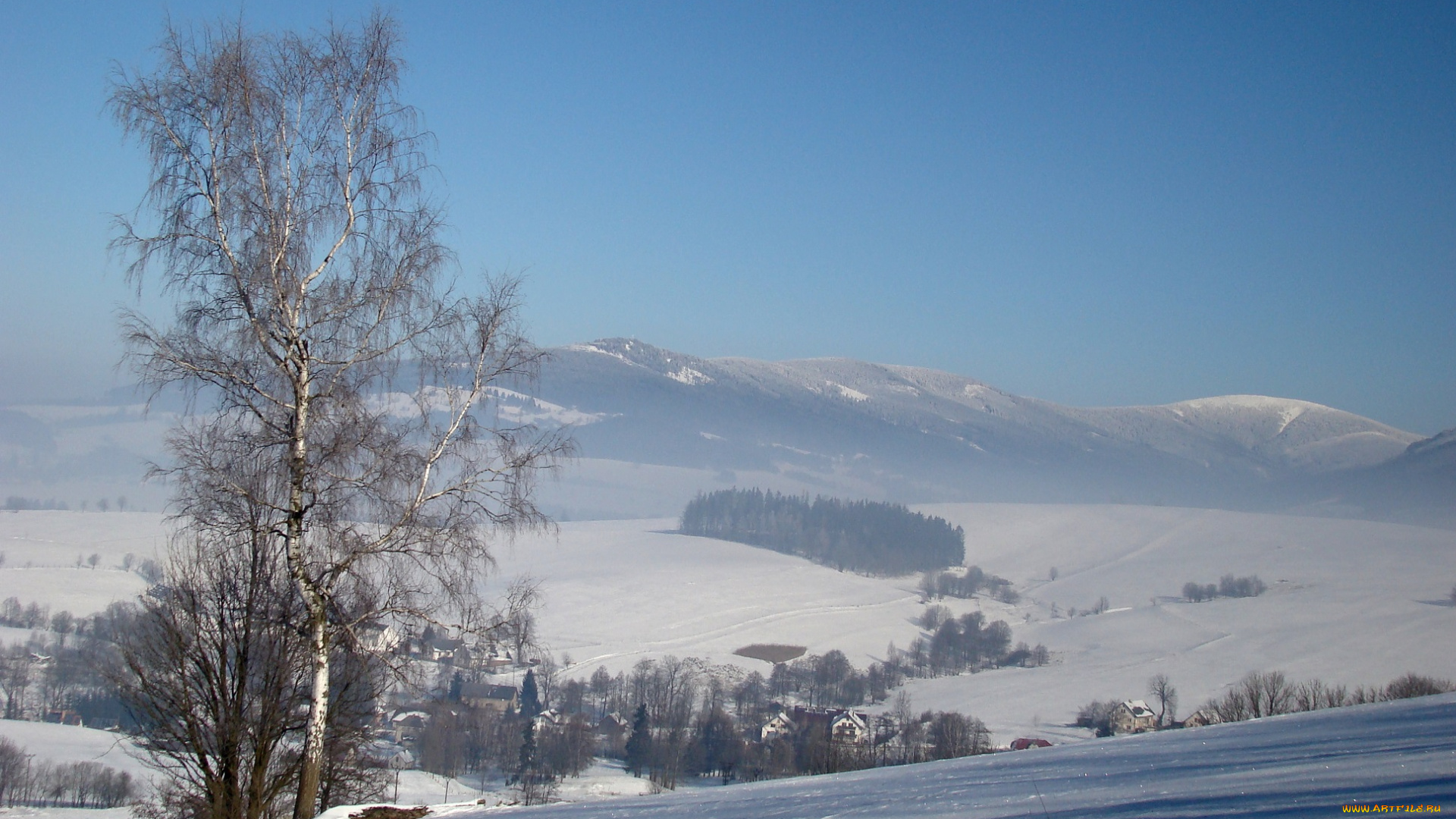 природа, зима, деревья, снег, иней