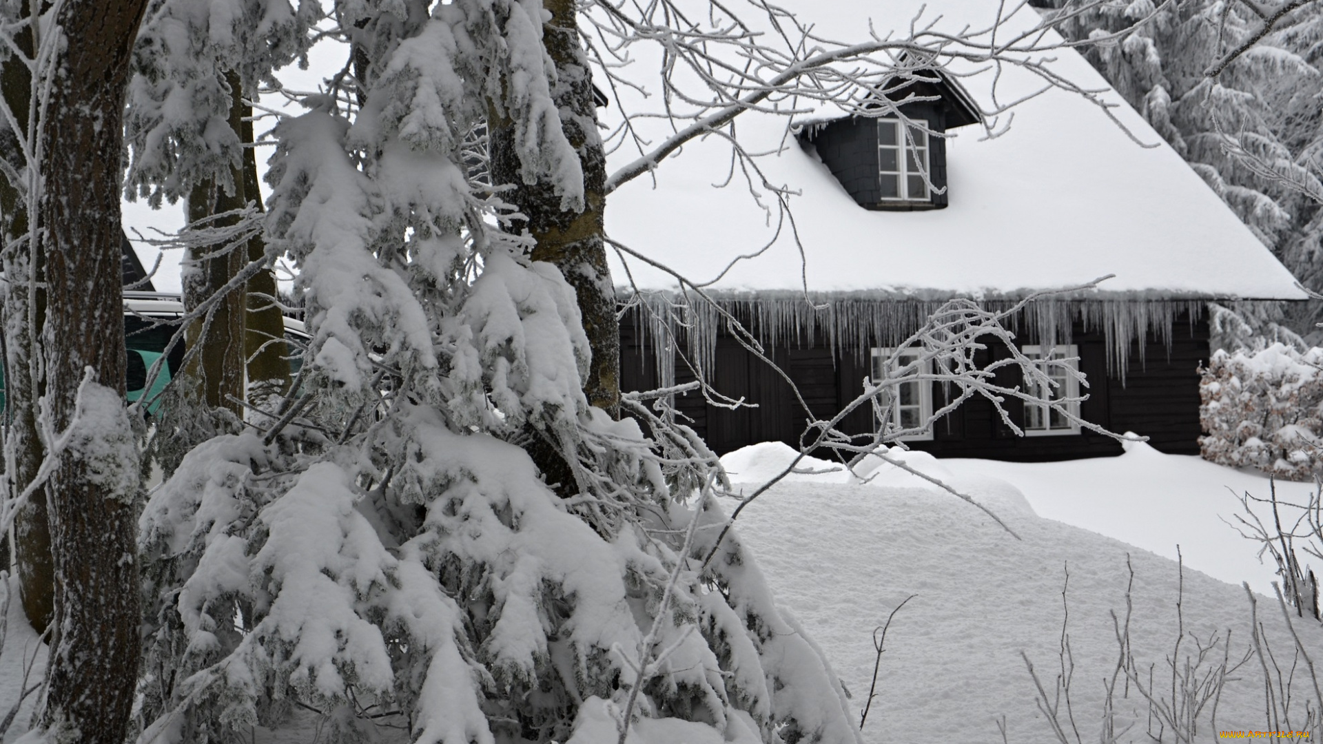 природа, зима, лес, деревья, снег, иней, сосульки, дом