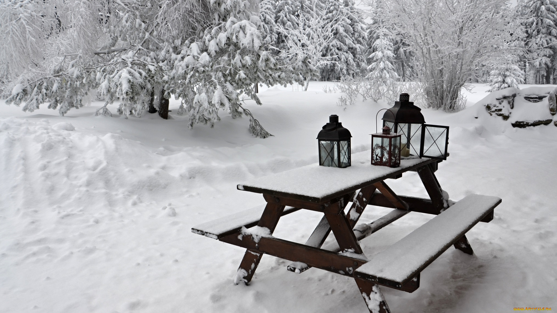 природа, зима, лес, деревья, снег, иней, стол, фонари