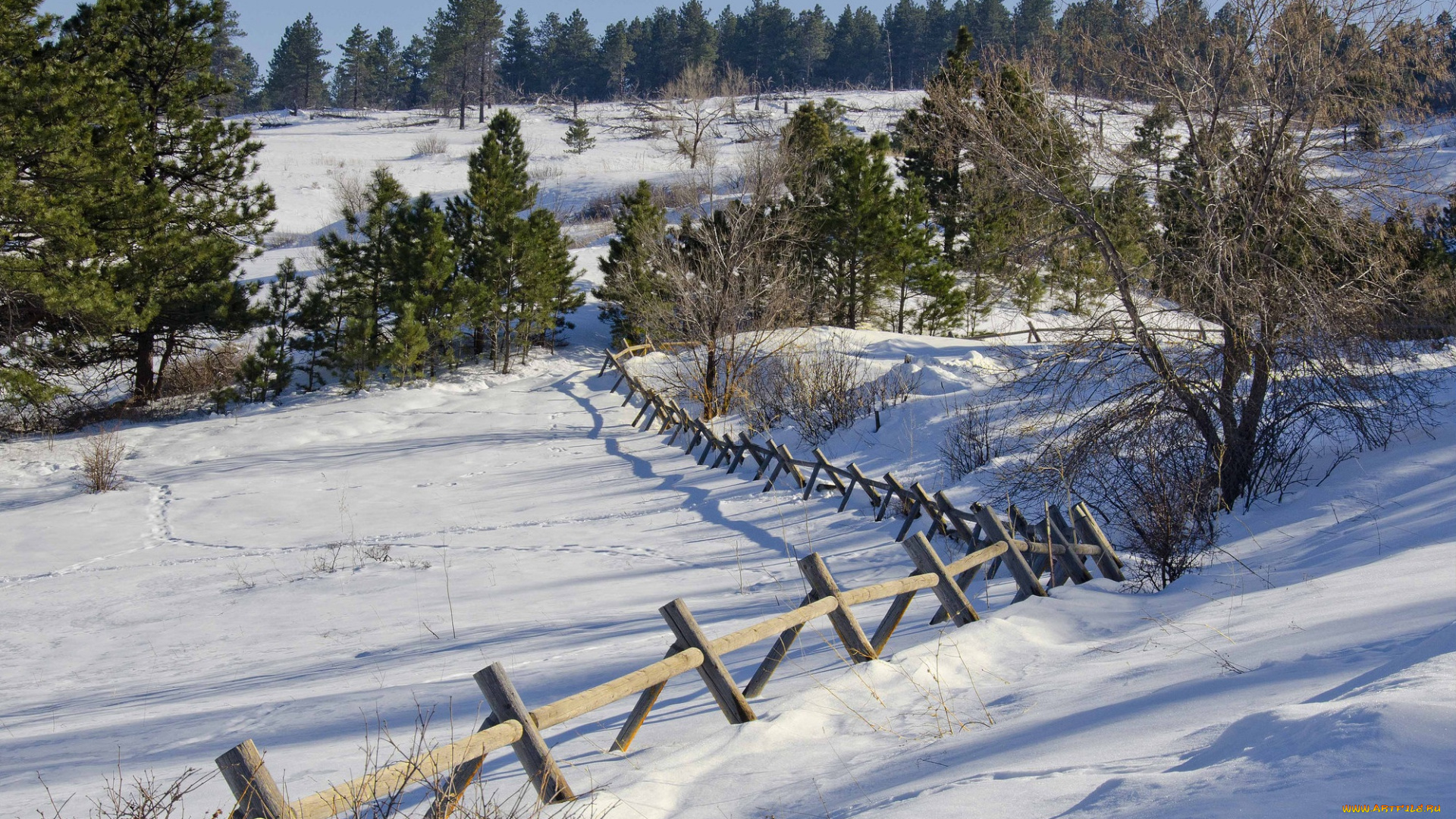 природа, зима, поле, снег, деревья