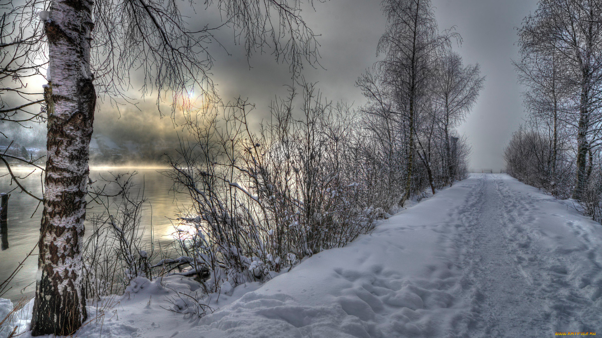 природа, зима, река, берёза, снег