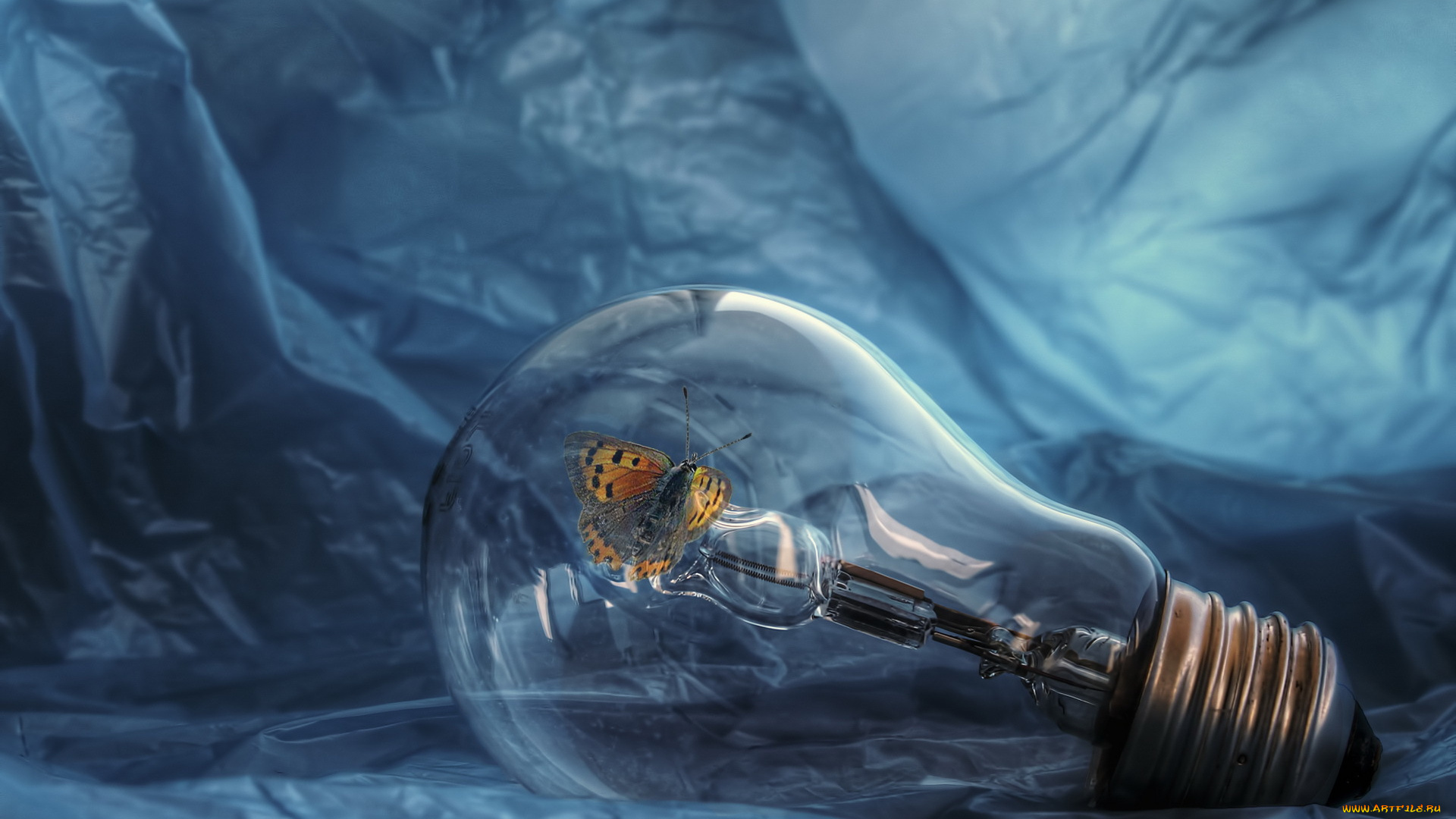 разное, компьютерный, дизайн, бабочка, лампа, фон