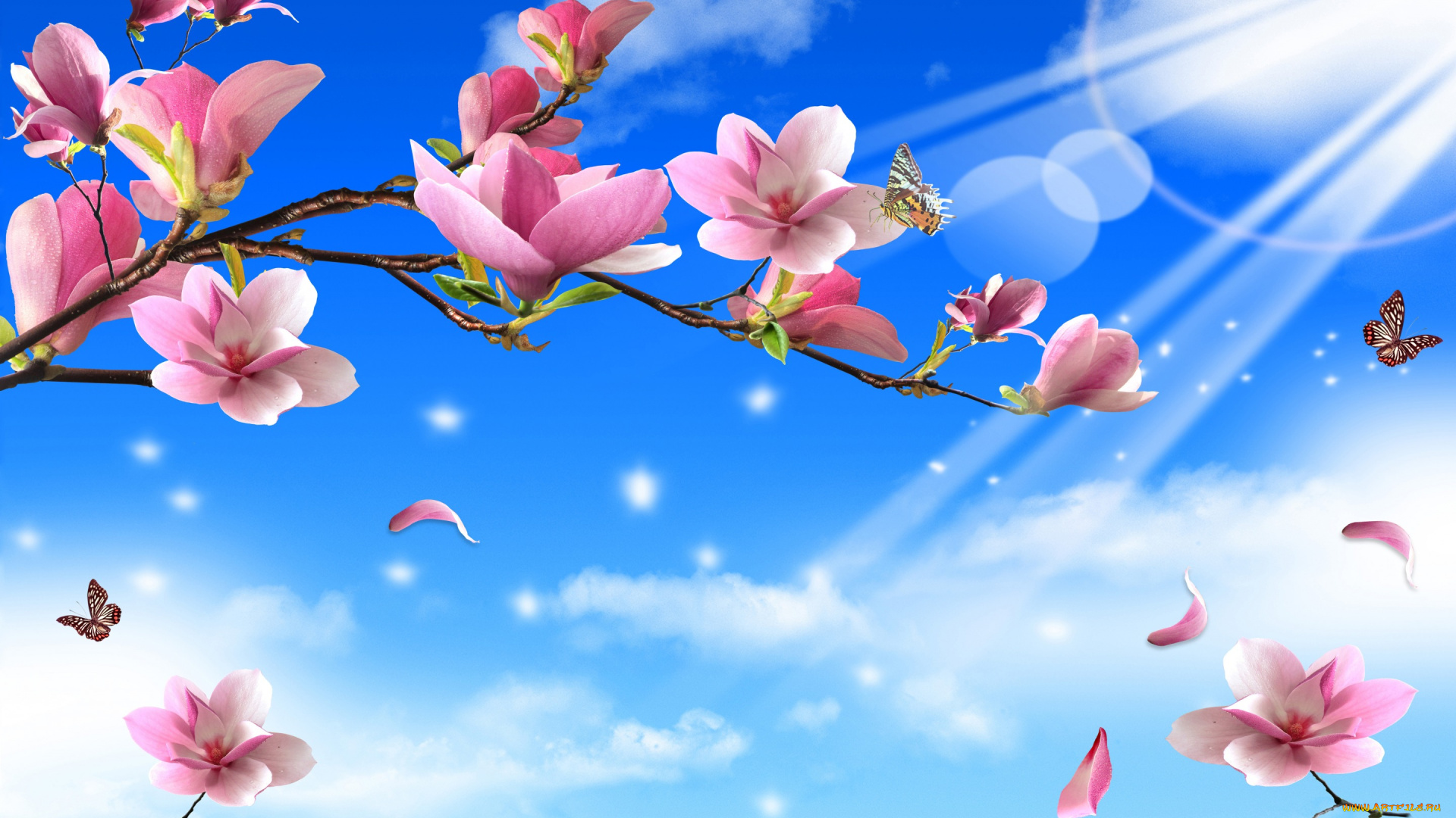 разное, компьютерный, дизайн, солнечные, бабочки, веточки, цветы, природа, лучи