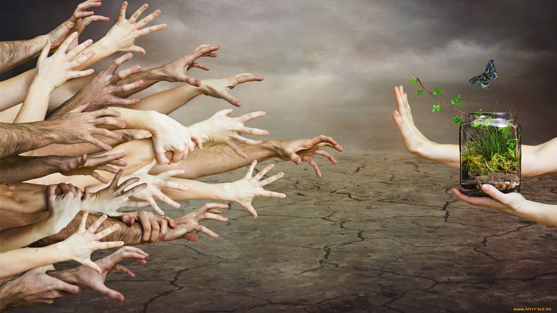 разное, руки, природа, банка