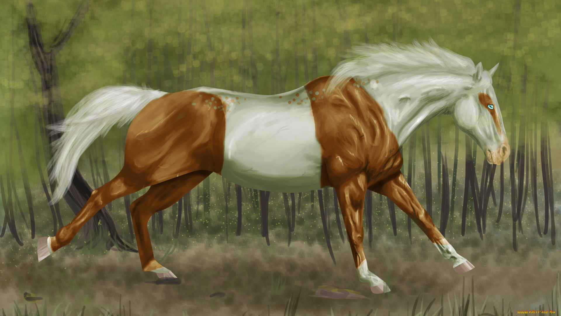 рисованное, животные, , лошади, бег, лошадь